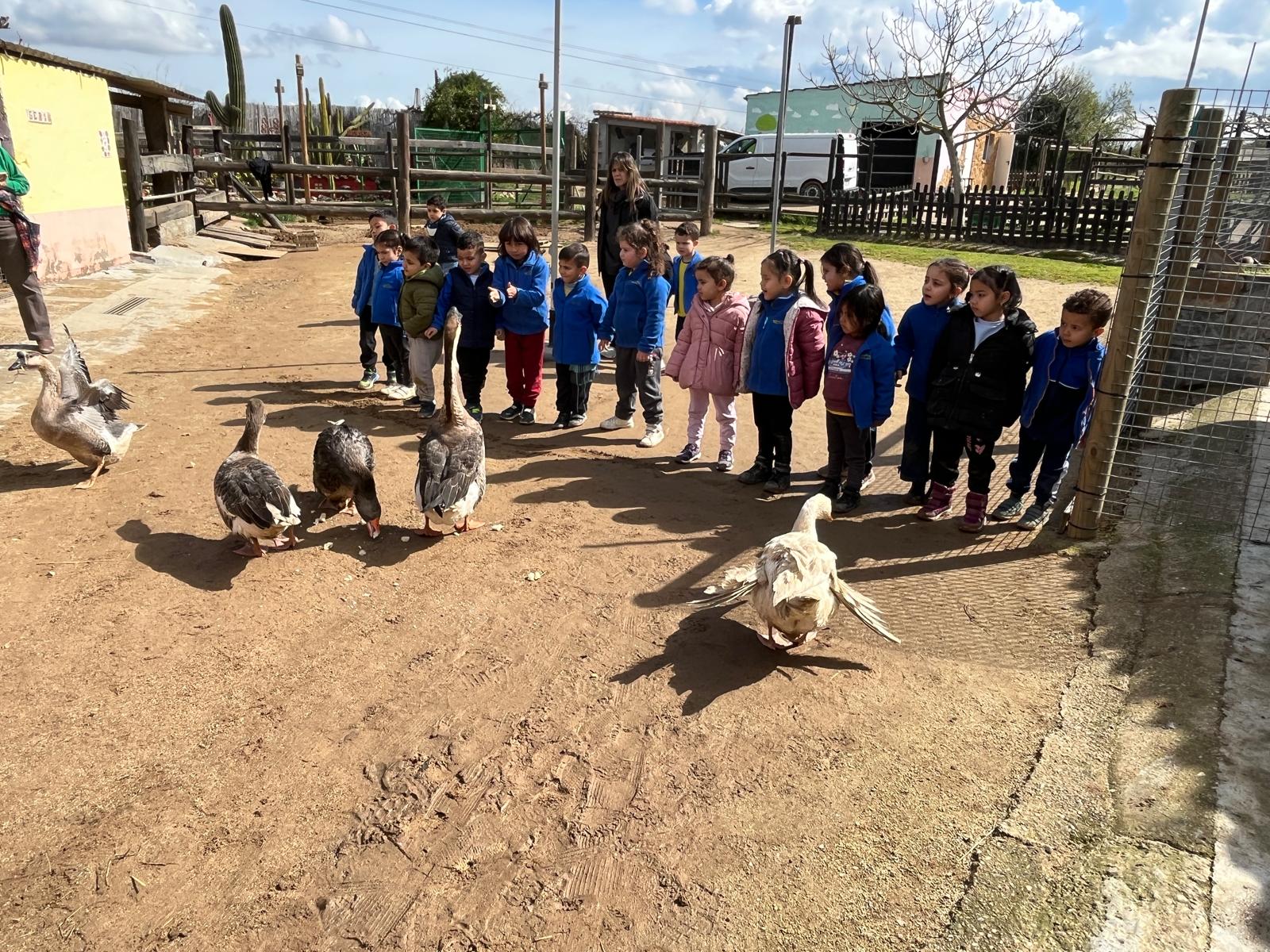 PHOTO-2026-03-13-12-53-50 (1)