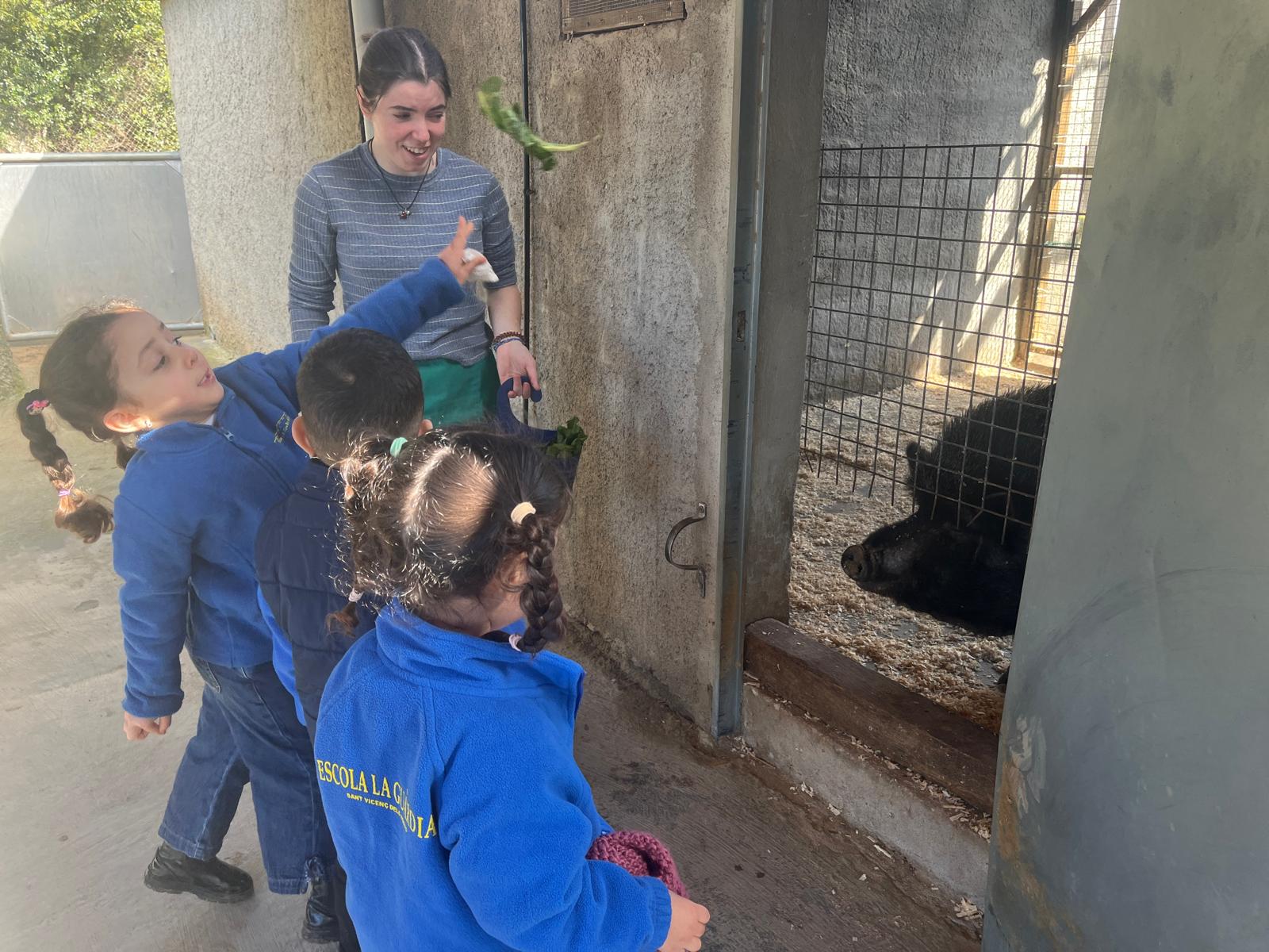 PHOTO-2026-03-13-12-53-50 (3)