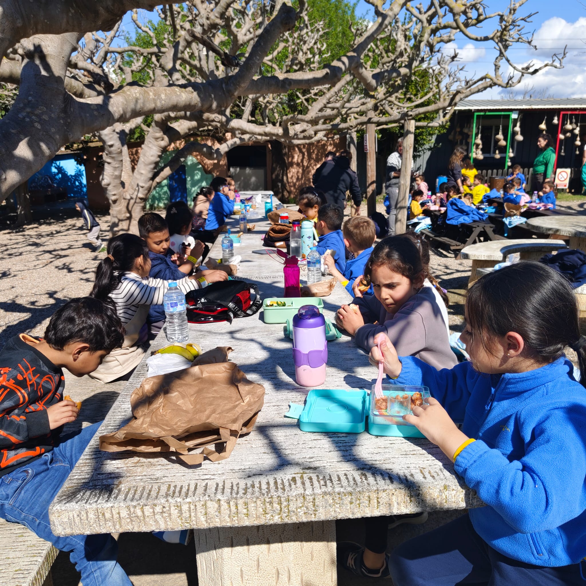 PHOTO-2026-03-13-12-53-50 (6)