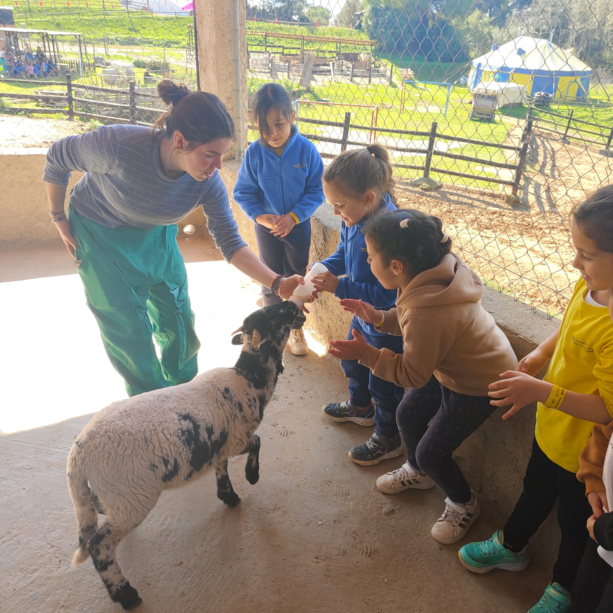 PHOTO-2026-03-13-12-53-50 (7)