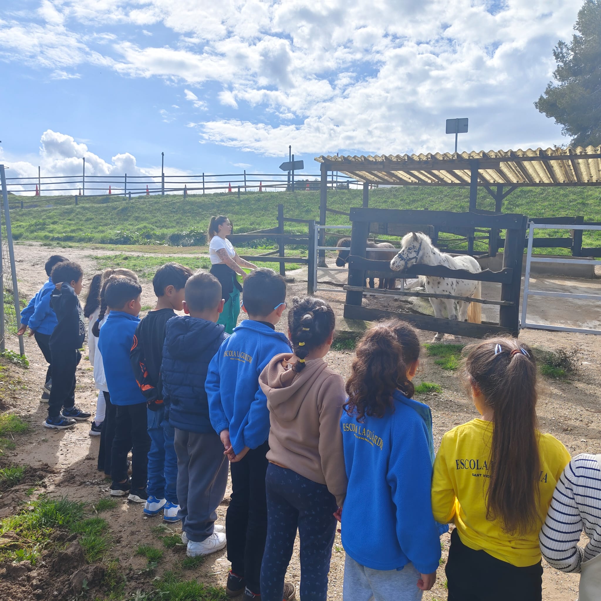 PHOTO-2026-03-13-12-53-51 (1)