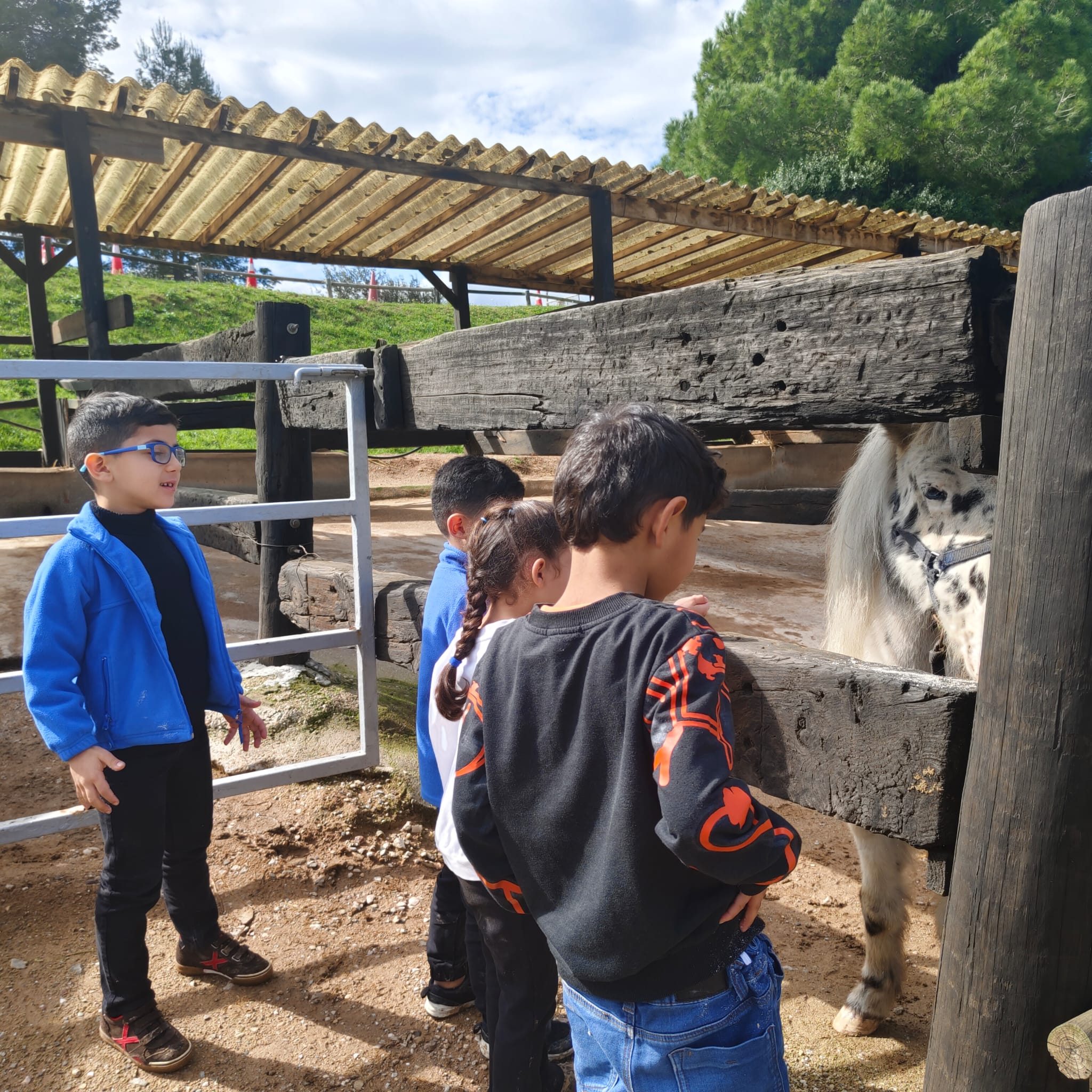 PHOTO-2026-03-13-12-53-51