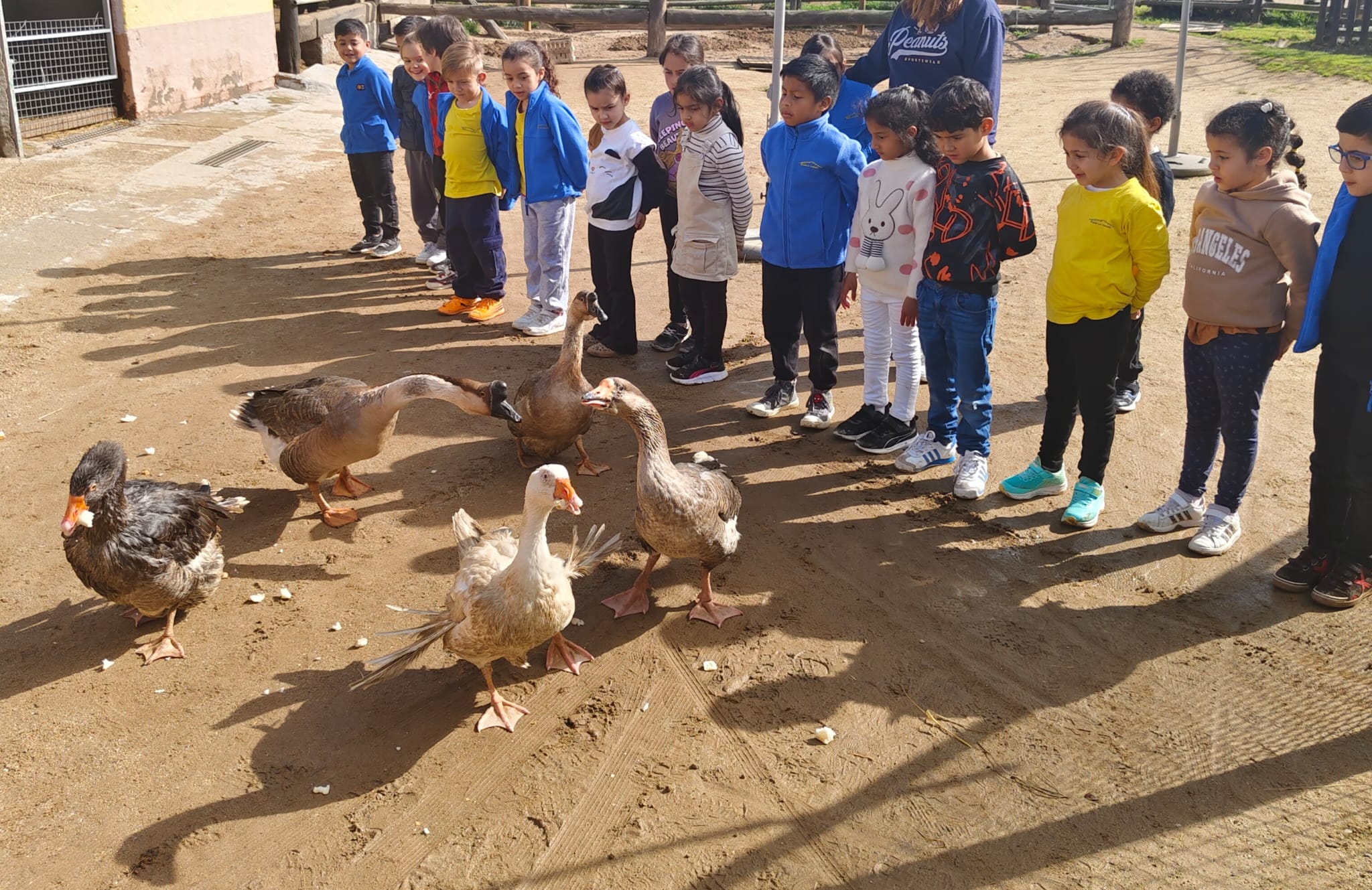 PHOTO-2026-03-13-12-53-52 (1)