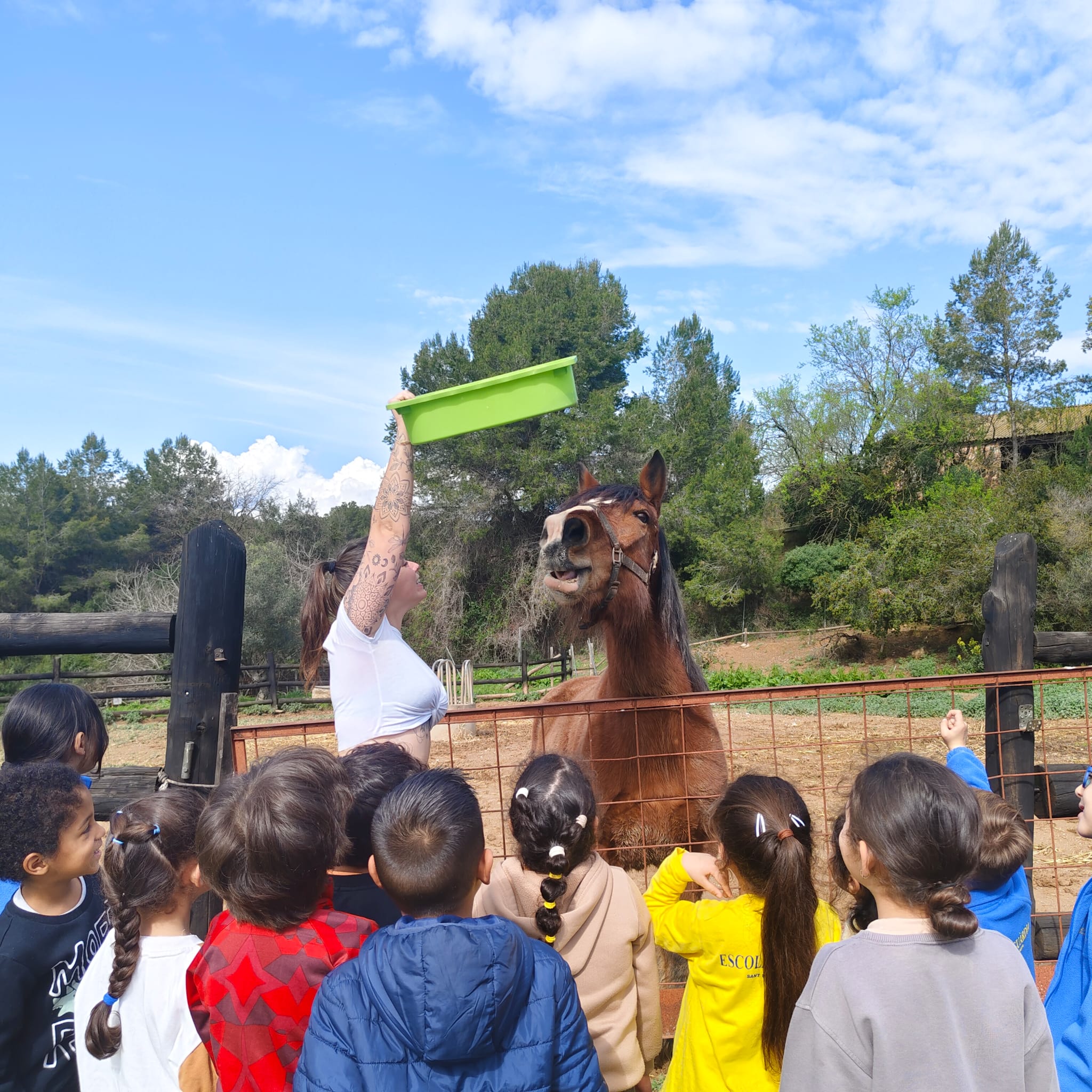 PHOTO-2026-03-13-12-53-52 (2)