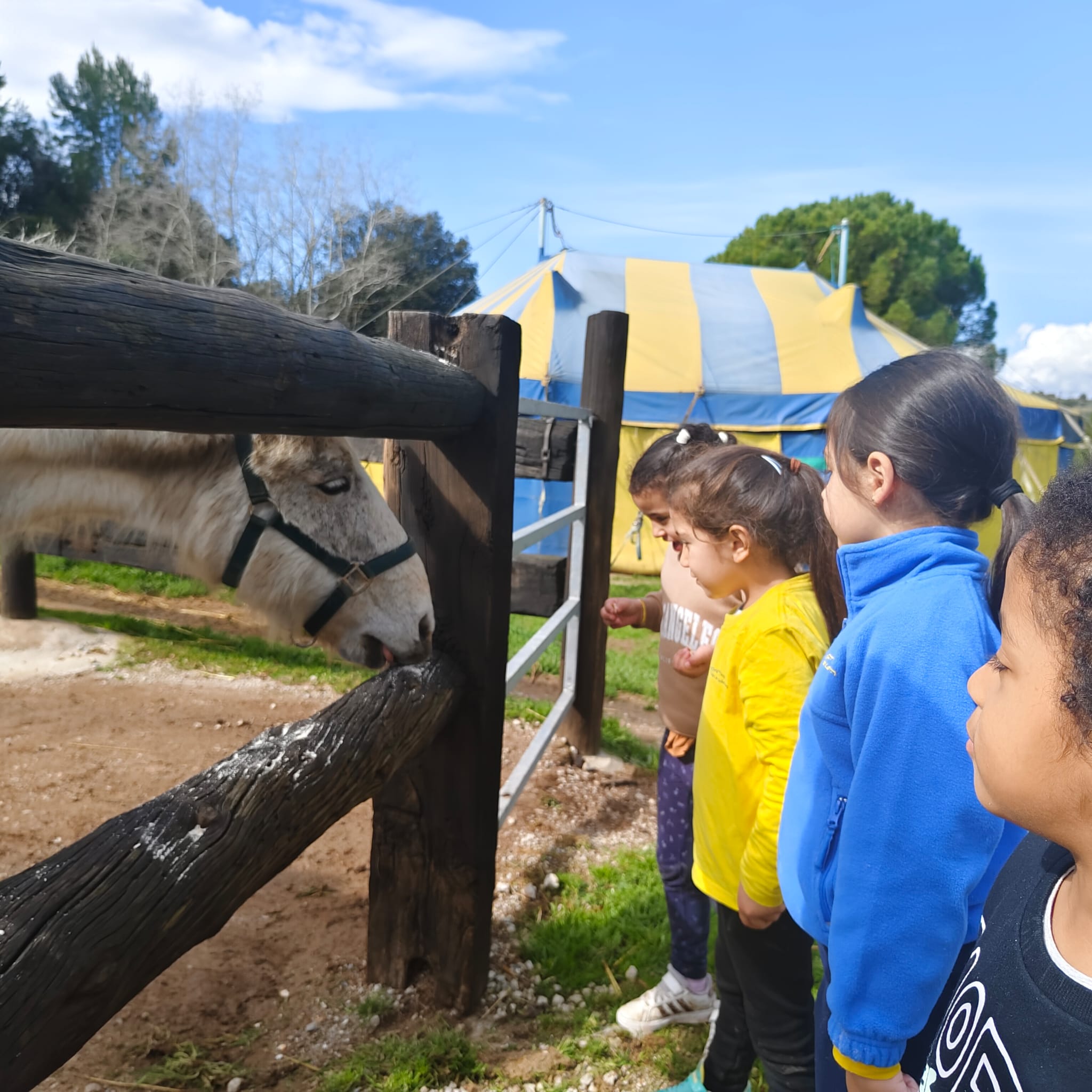 PHOTO-2026-03-13-12-53-52 (3)