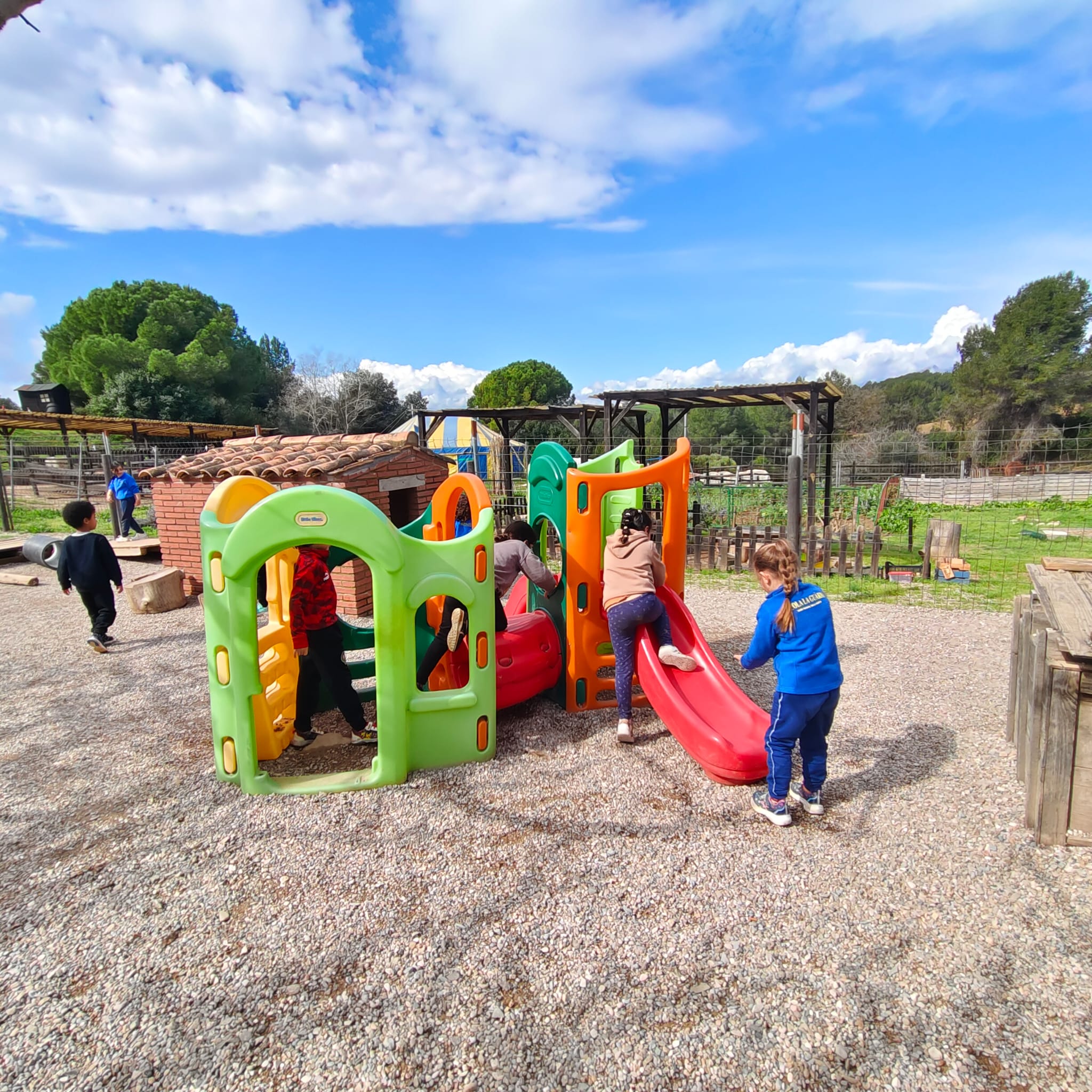 PHOTO-2026-03-13-12-53-53 (1)