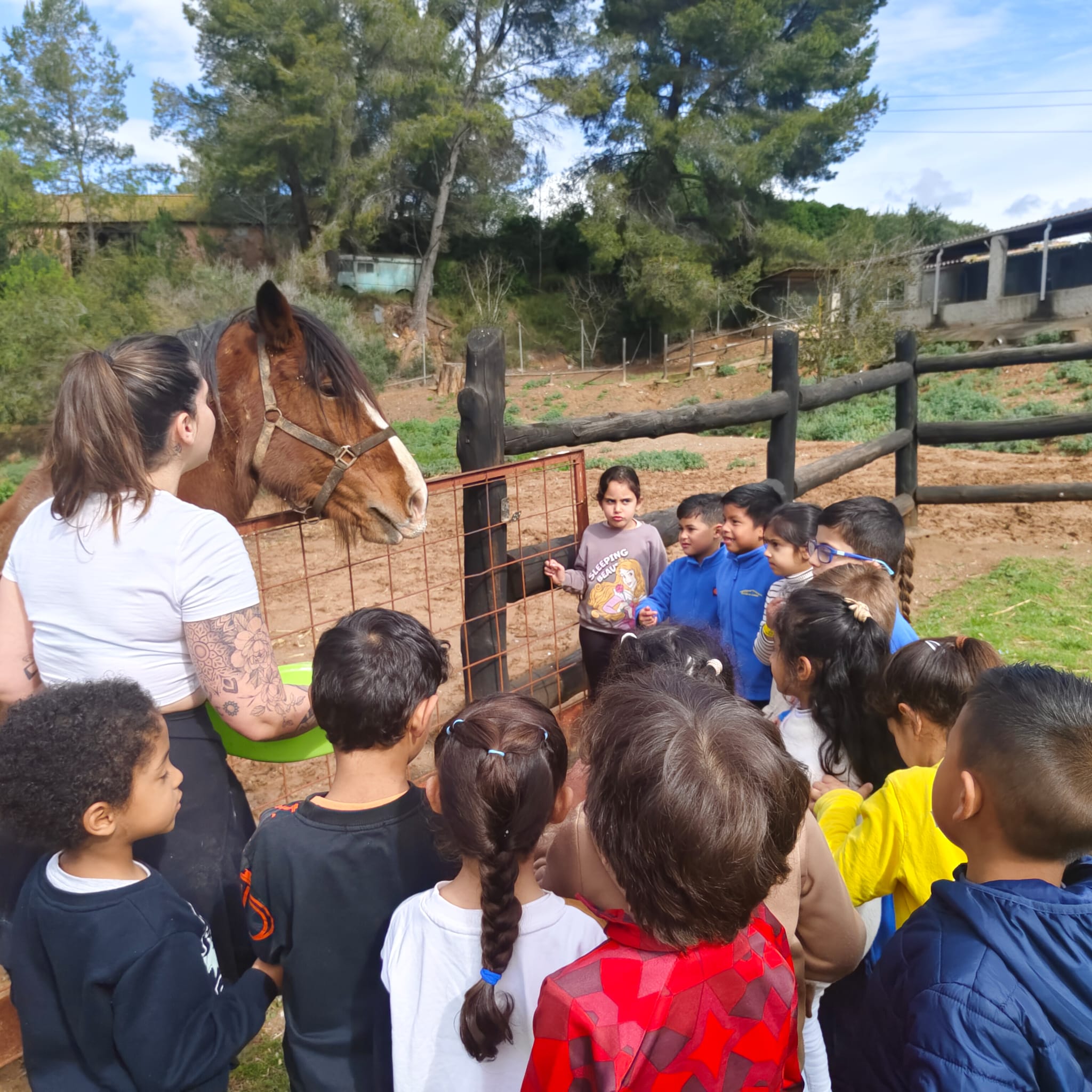 PHOTO-2026-03-13-12-53-53