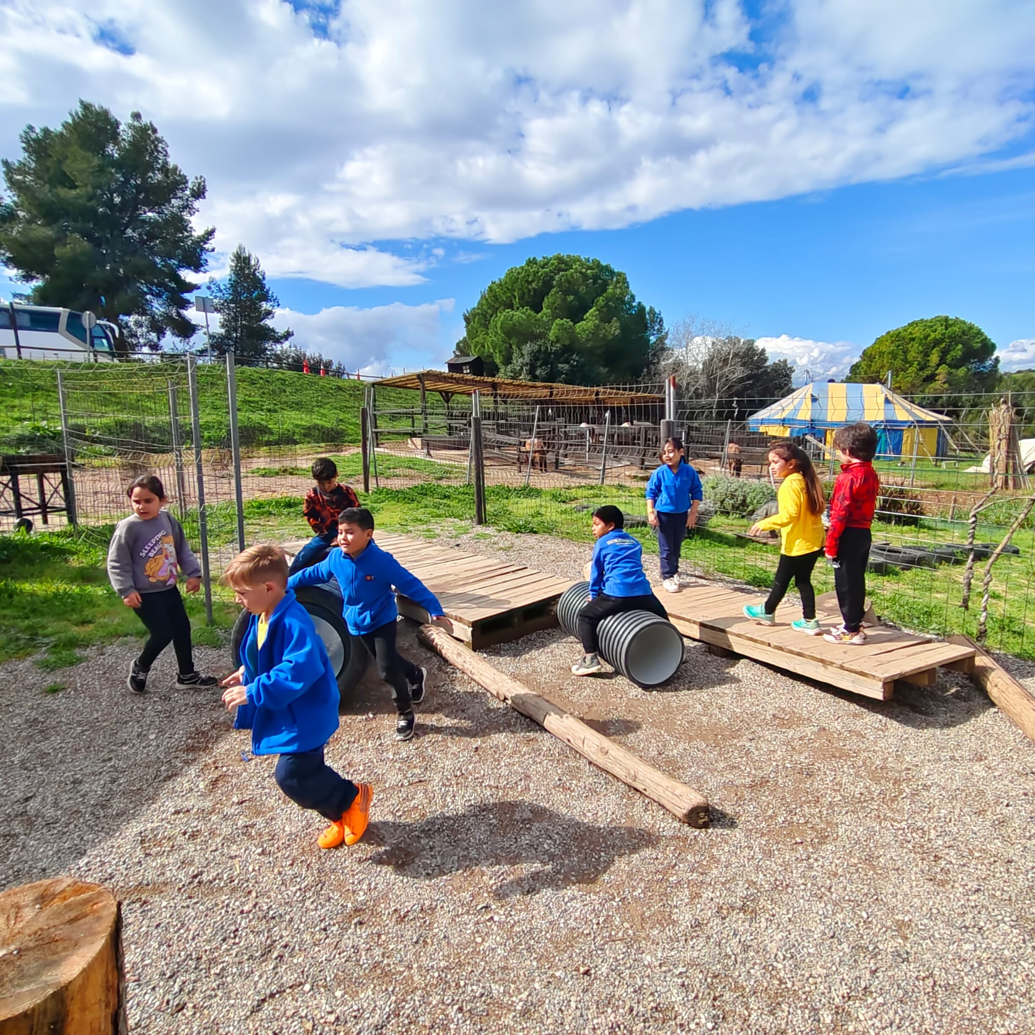 PHOTO-2026-03-13-12-53-54 (1)