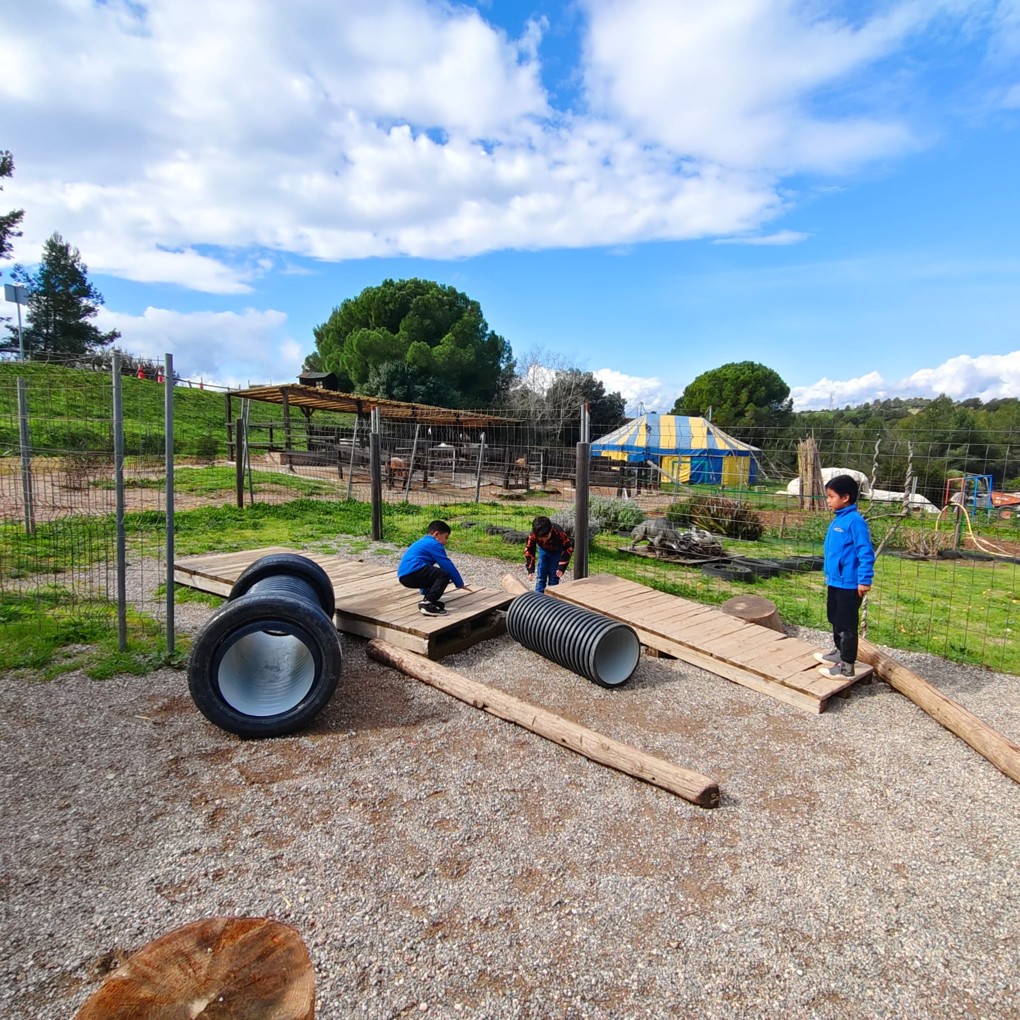 PHOTO-2026-03-13-12-53-54