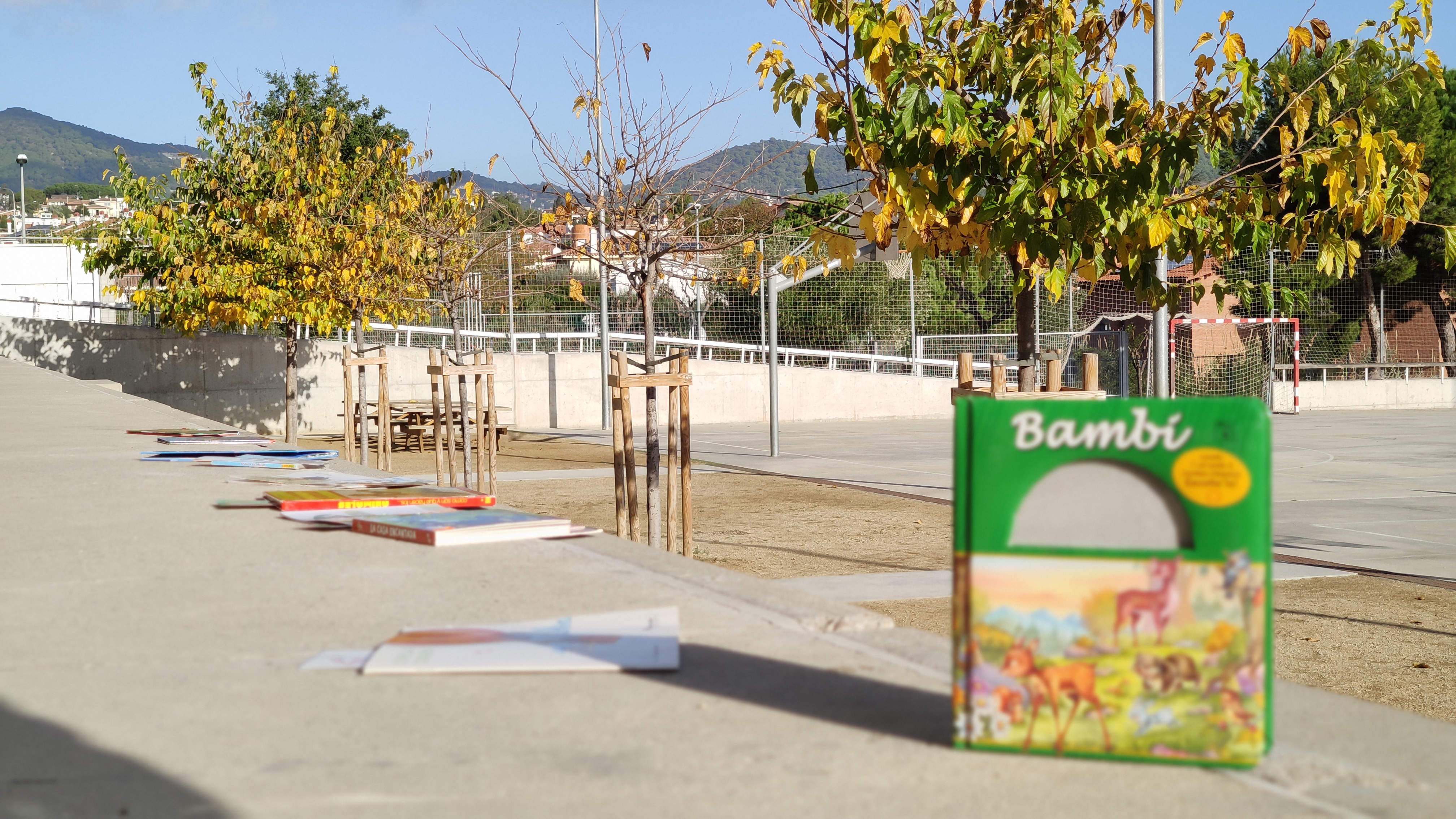 aIMG_20201118_100455