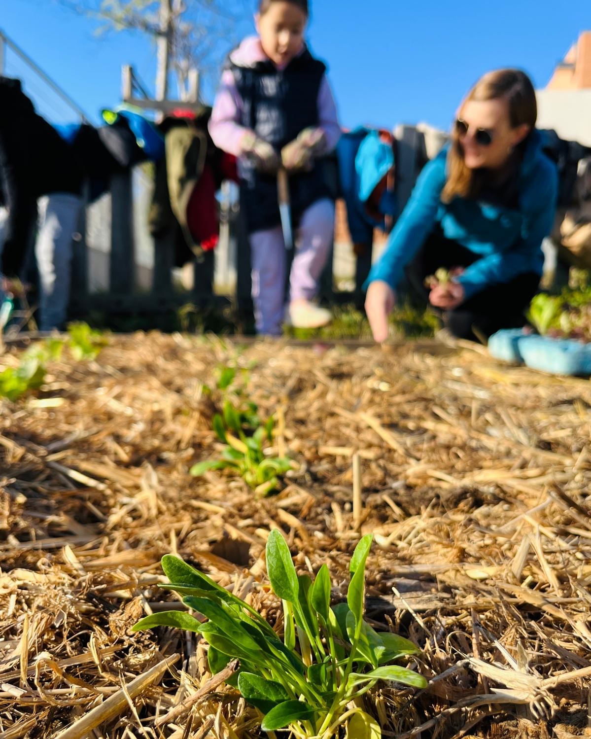 0c824d57-d1b4-4f7f-aa5c-f9f1ea0f4457