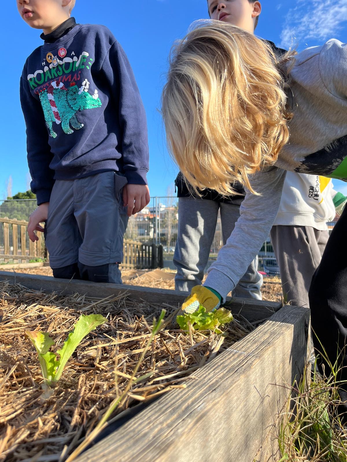 23a7d6e4-07b3-4155-99ae-21b526bbd4ec