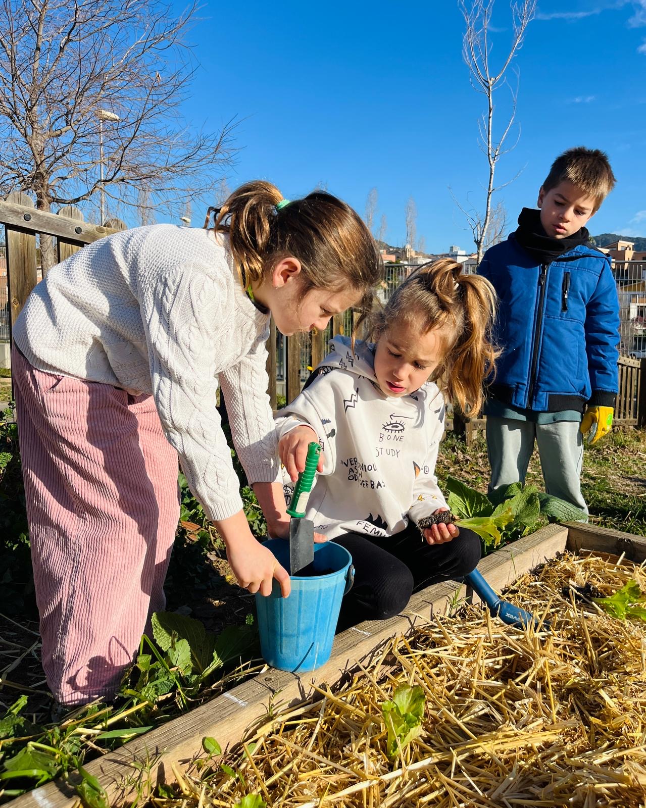 28af40ec-9a51-453e-8566-13c491b5cf0c