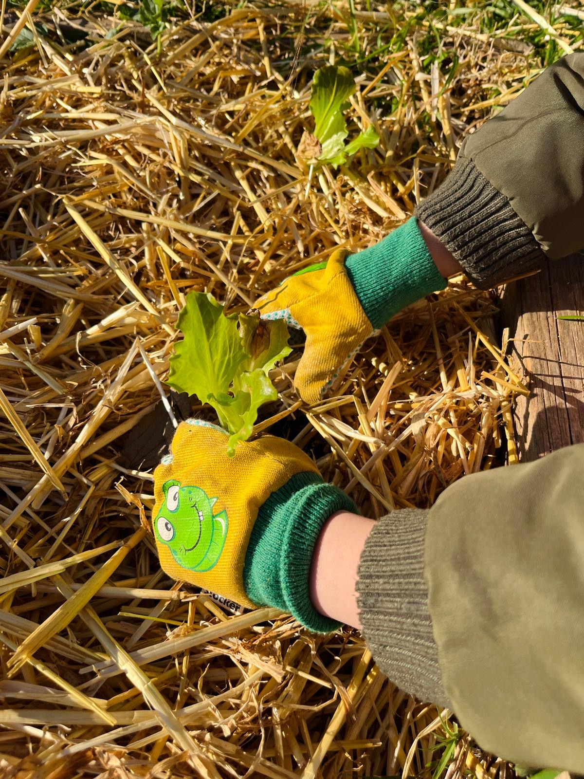 3c67b5b7-2885-4b59-b6b4-f34bc54b8f2a