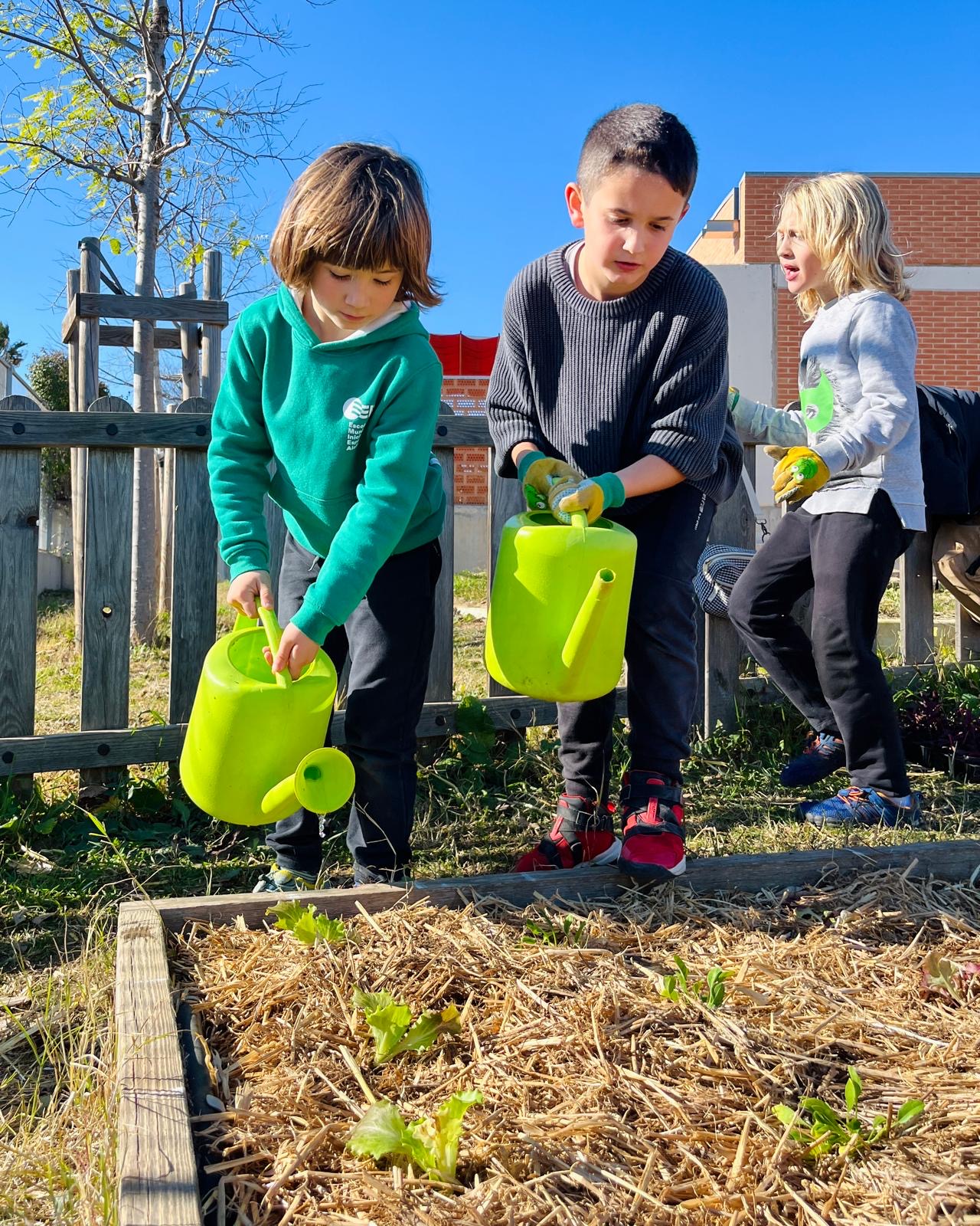 4447891c-00ee-480b-a9a1-ef3605076d05