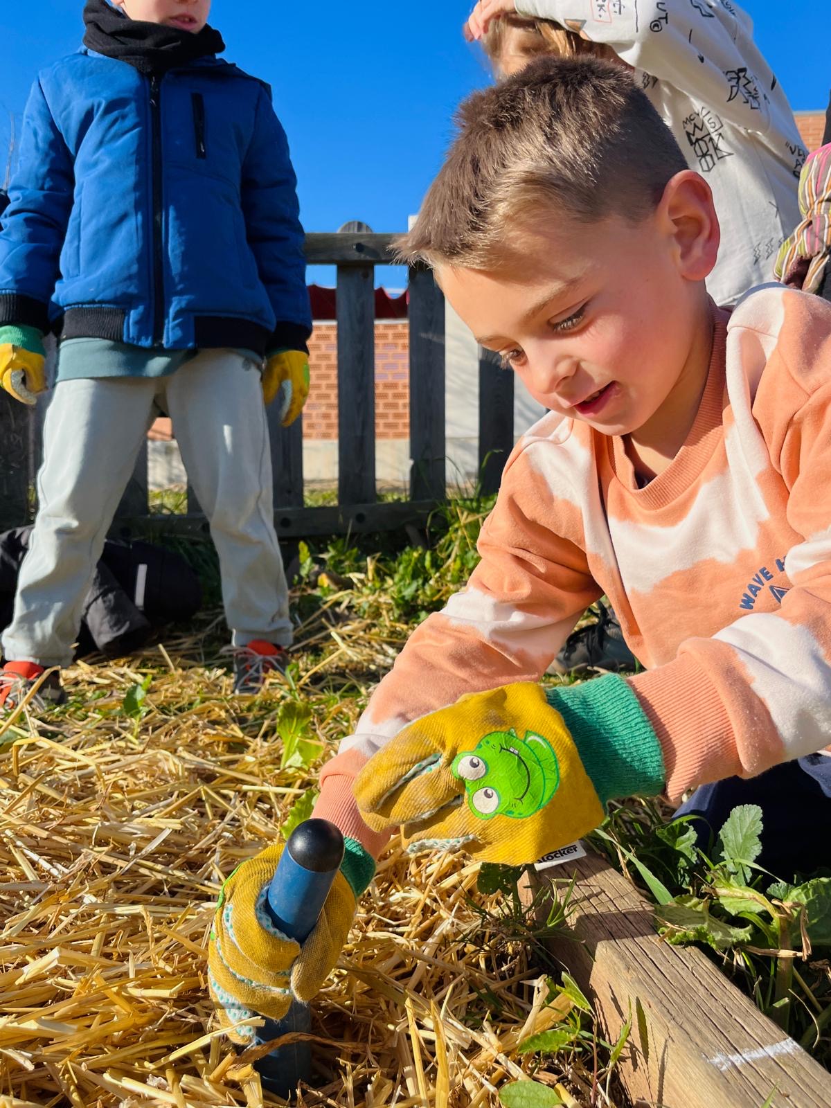 47fb4ddb-102b-47d8-b0d9-2e5f25c3d3c6