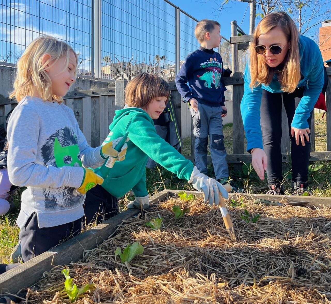 6676954a-34ce-4f61-8a87-f26fe6e177de