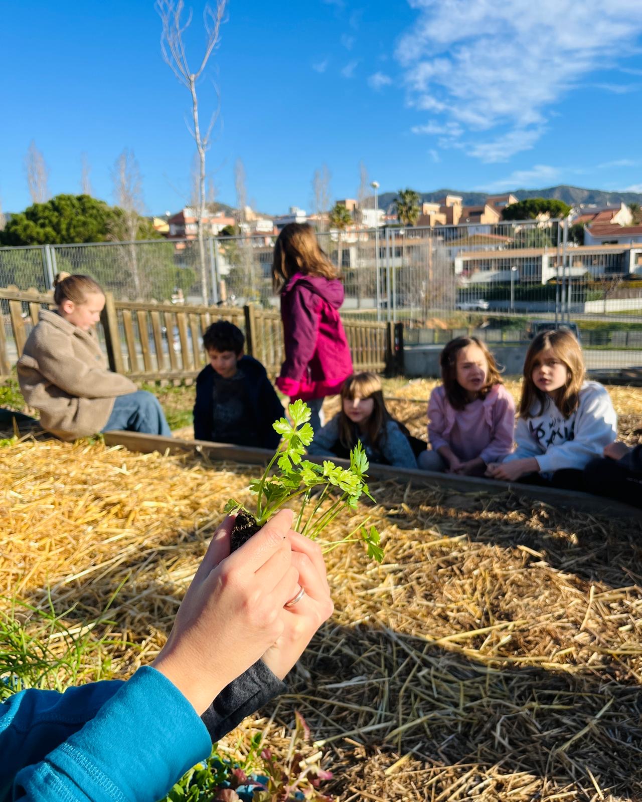 8834fb56-9027-41d2-89e0-35e3aa274912