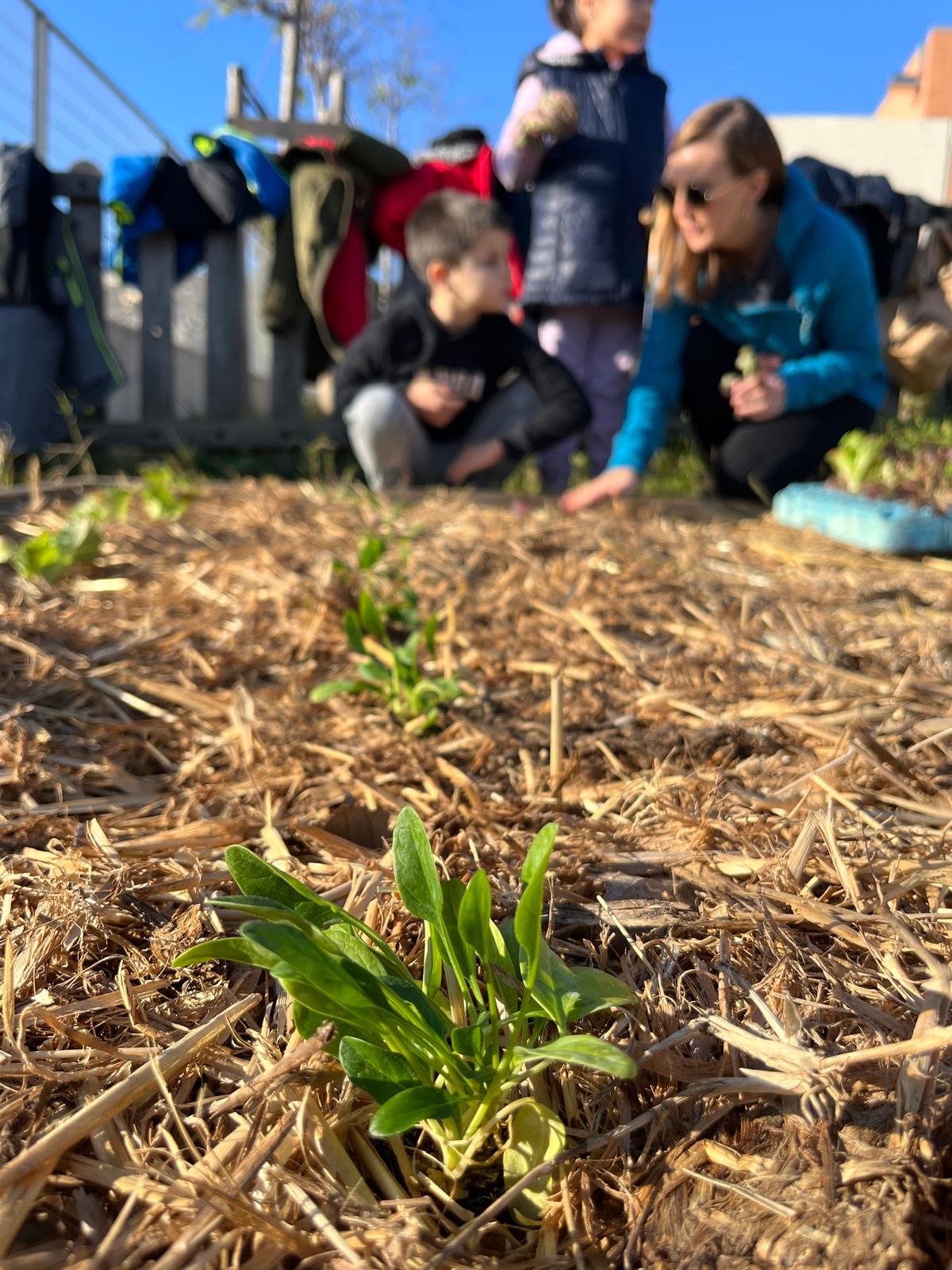 8fb374e3-4b0c-43f9-b14b-d9d5a0c08695