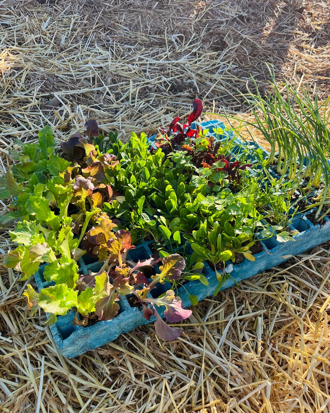 b9f616bb-d0d4-4c60-8eb3-f0365d5f7c6e