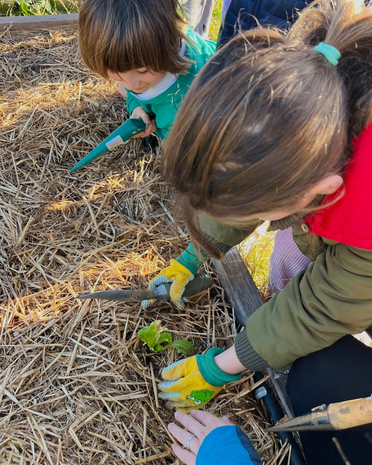 bb819f84-4cf3-4941-902f-36e92173ad23