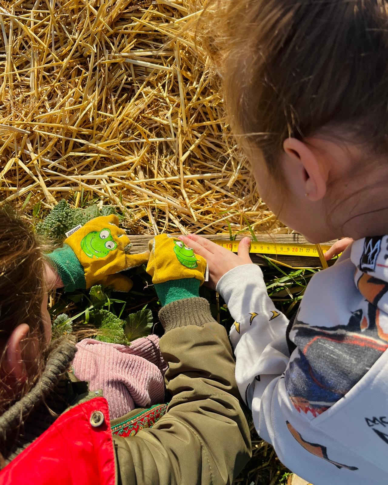 bc379599-3e68-45f4-87a1-25f280eabc6c