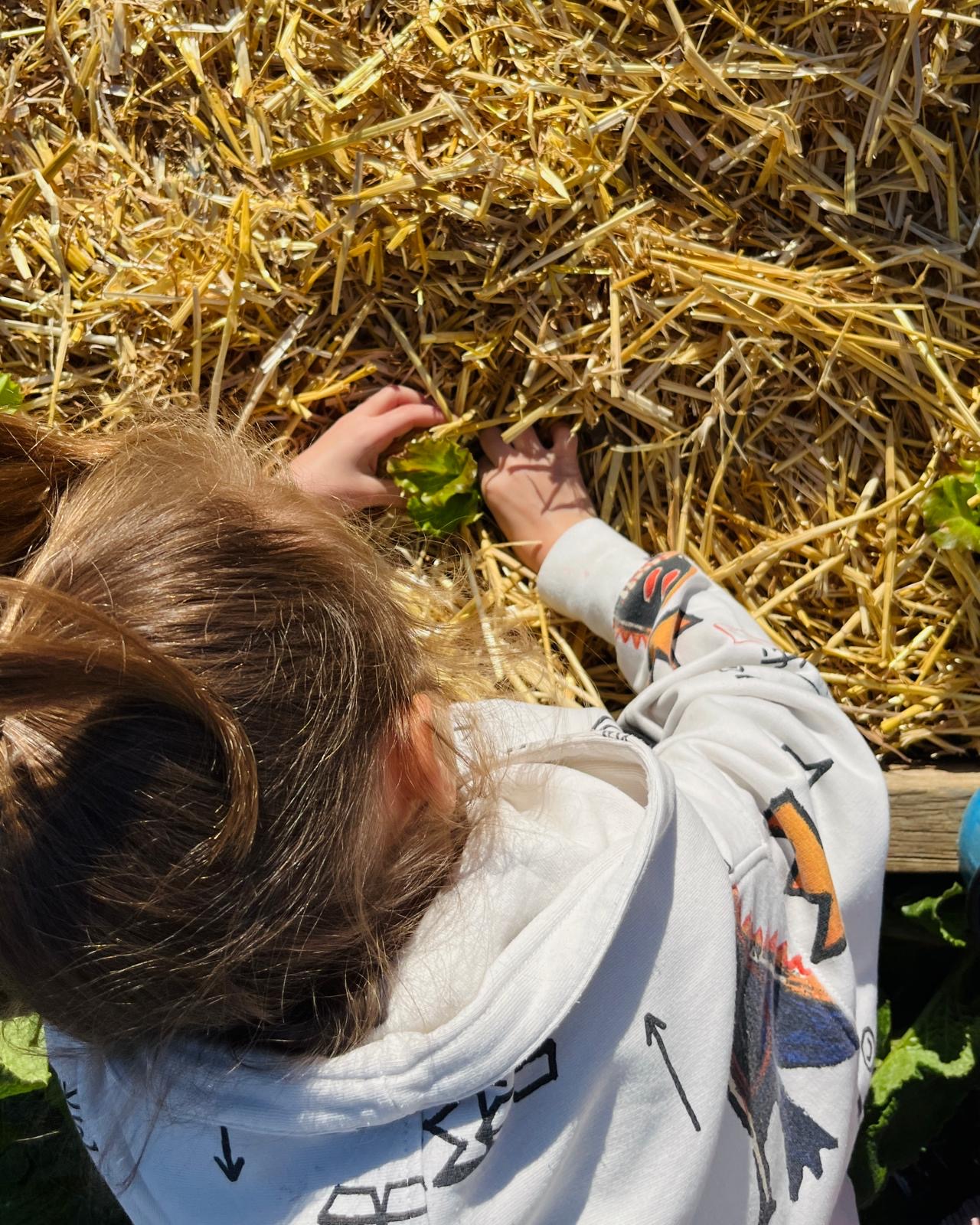 c192b223-e2ad-455f-af33-f24cbecbf501