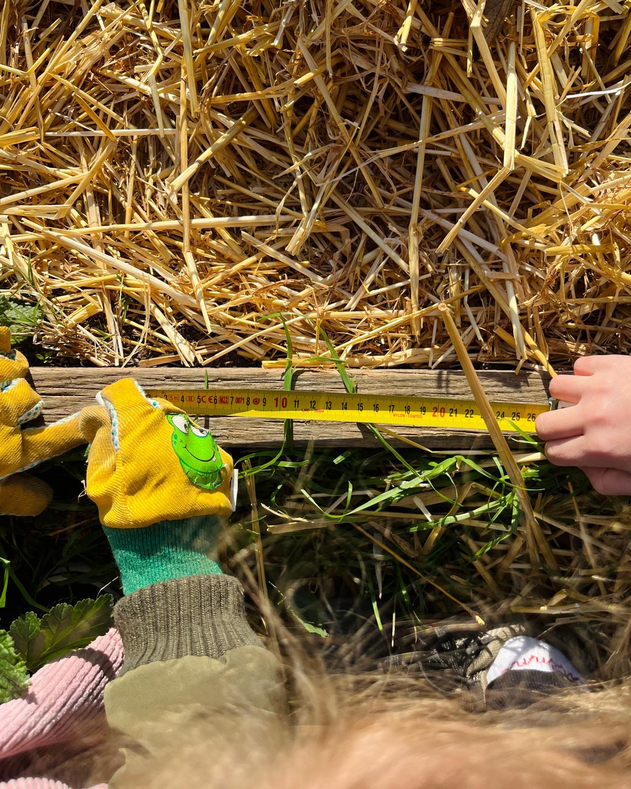 e99a7d61-4874-46c0-94f7-e4e2b923cb60