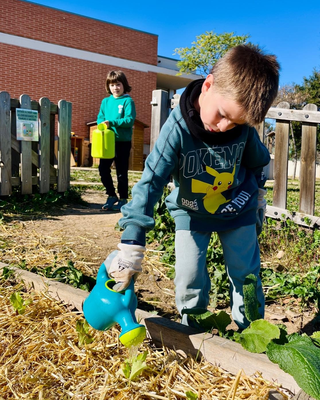 f5ced3a2-f9a8-4318-a6fe-44484564ba2c