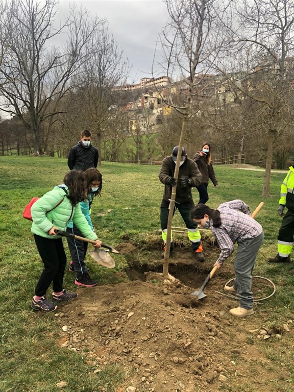 1648032811731 (576 x 768)