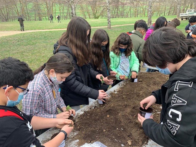 1648033365590 (768 x 576)