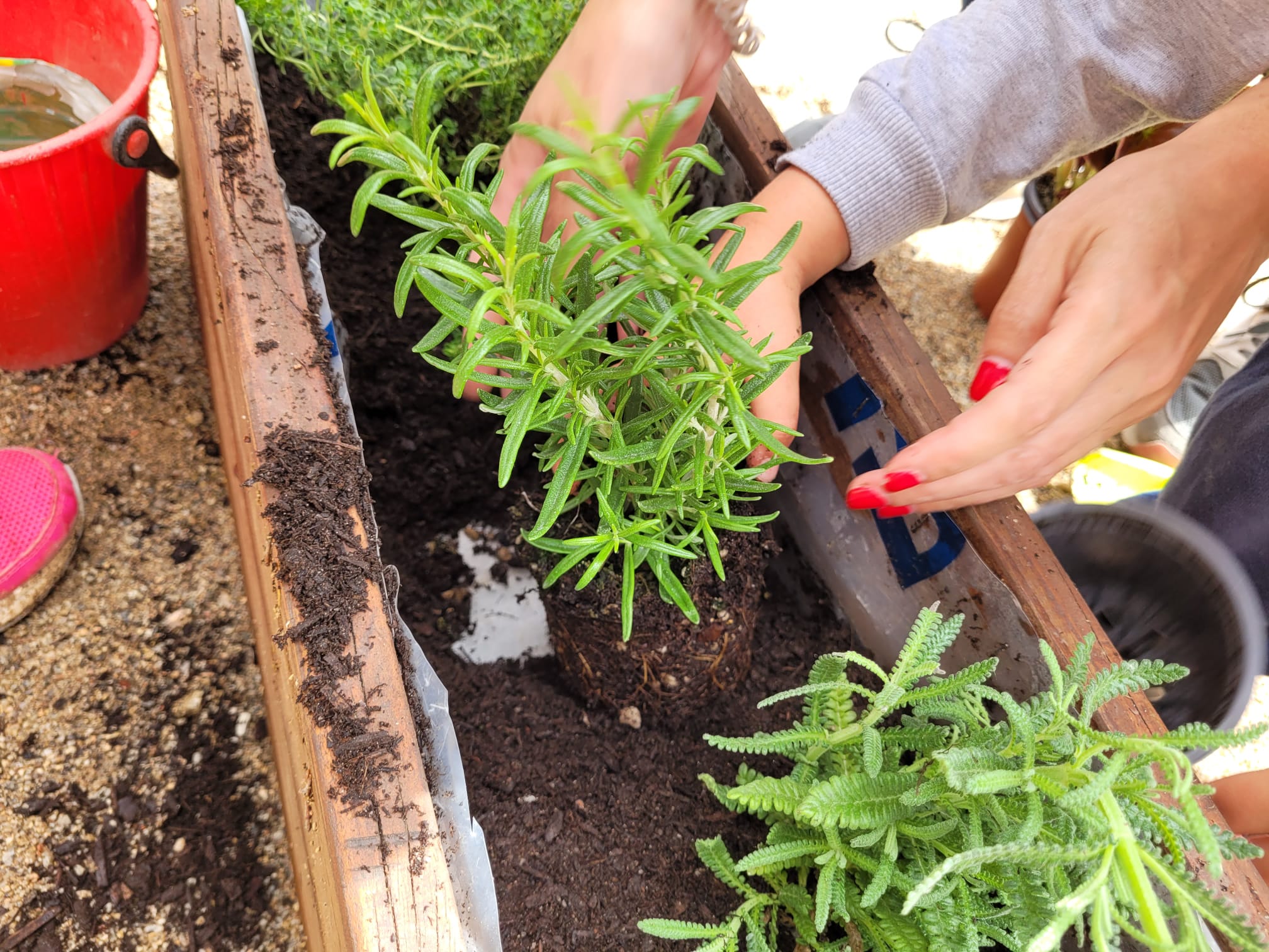 amb les famílies...