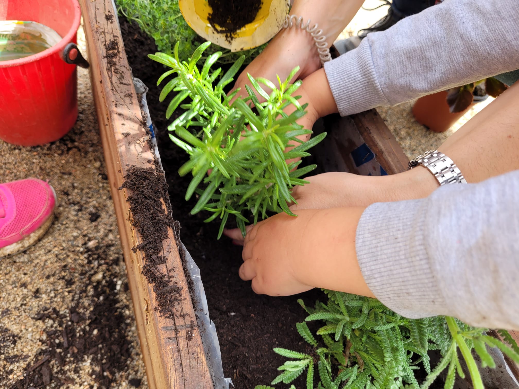 WhatsApp Image 2023-05-13 at 16.58.27