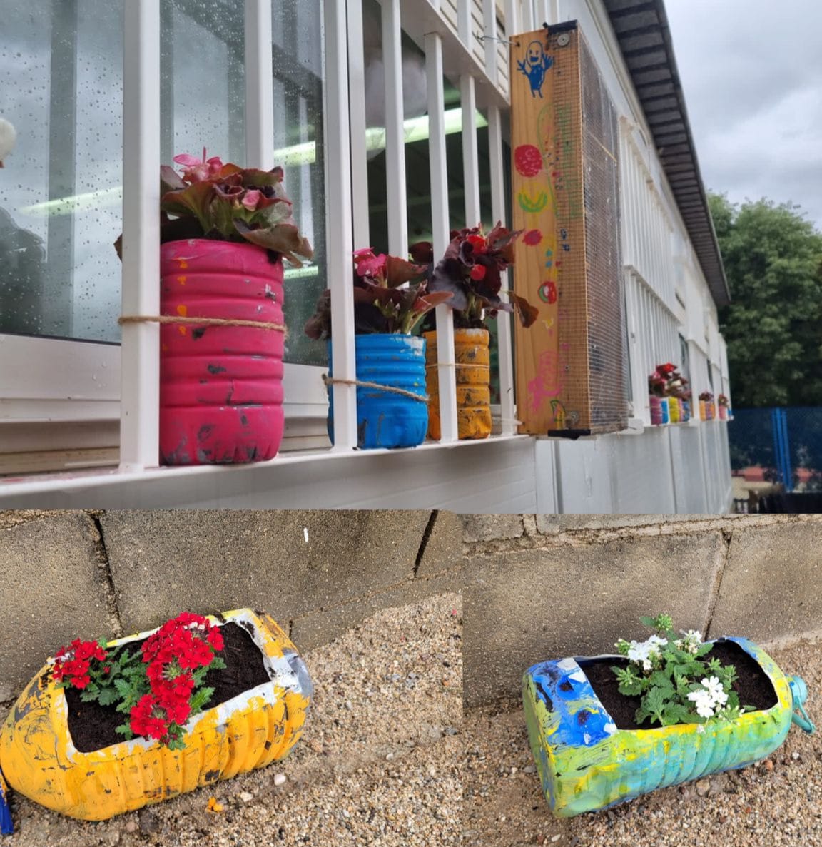 WhatsApp Image 2023-05-13 at 17.00.40