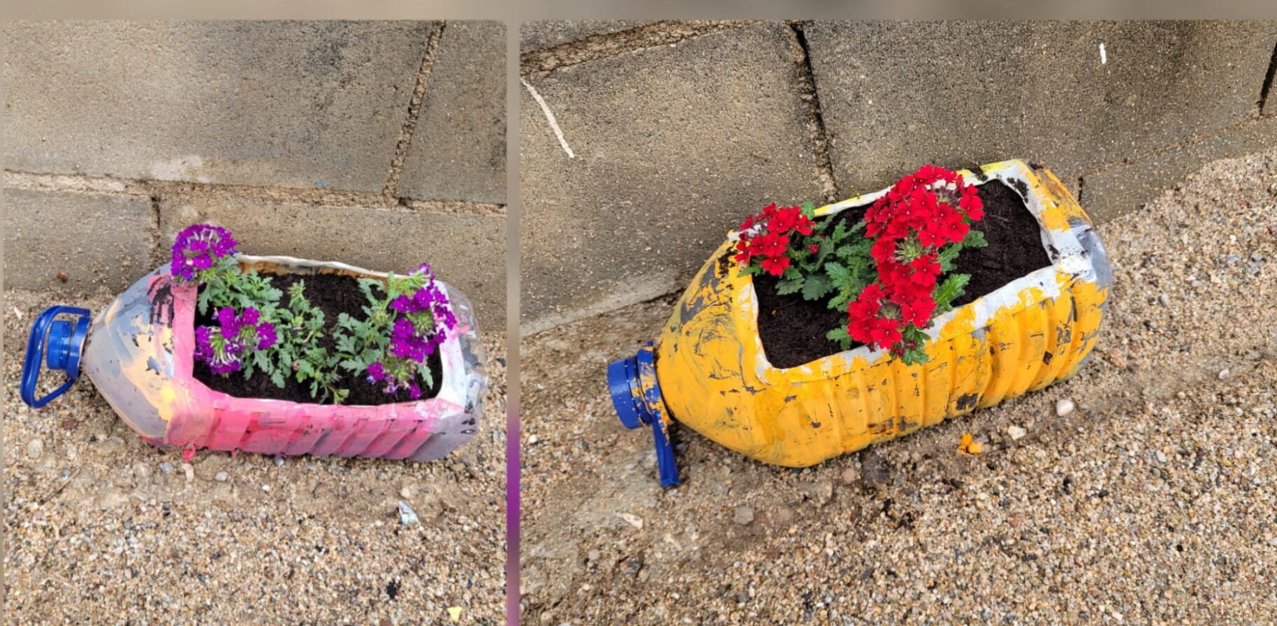 WhatsApp Image 2023-05-13 at 17.34.05