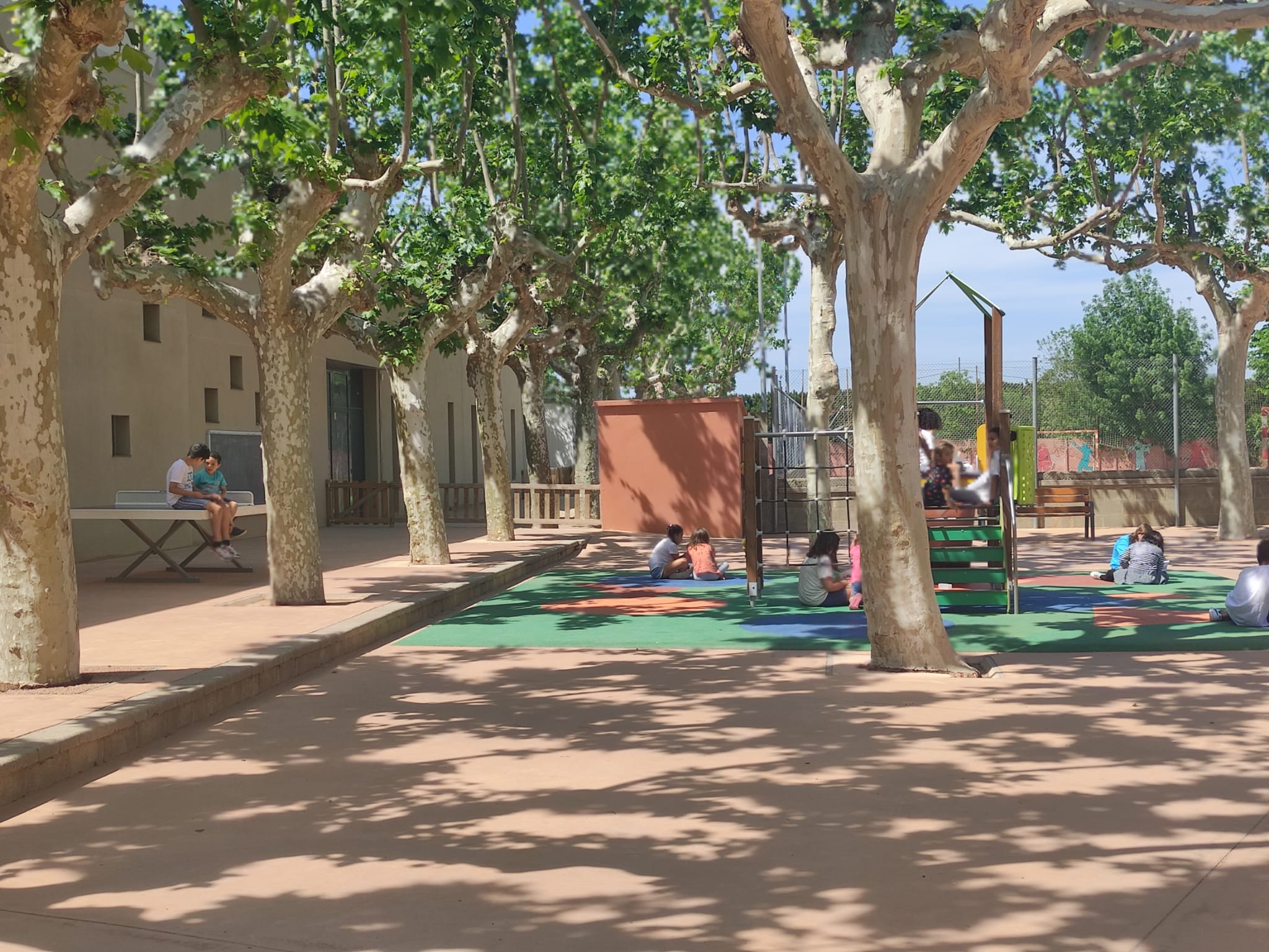 WhatsApp Image 2023-05-05 at 15.24.22 (2)