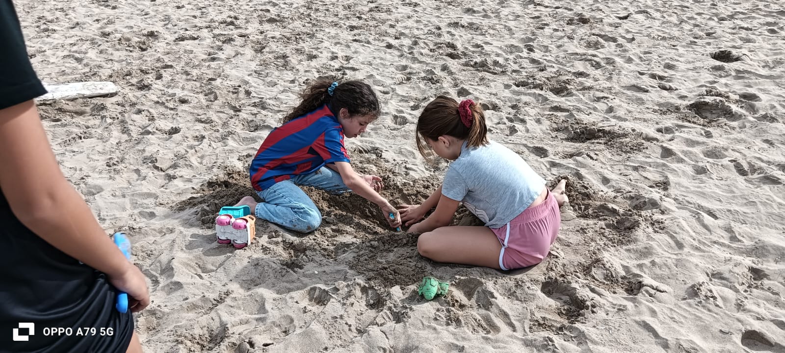 11995edb-341e-4e10-98da-f667d28fc9c8