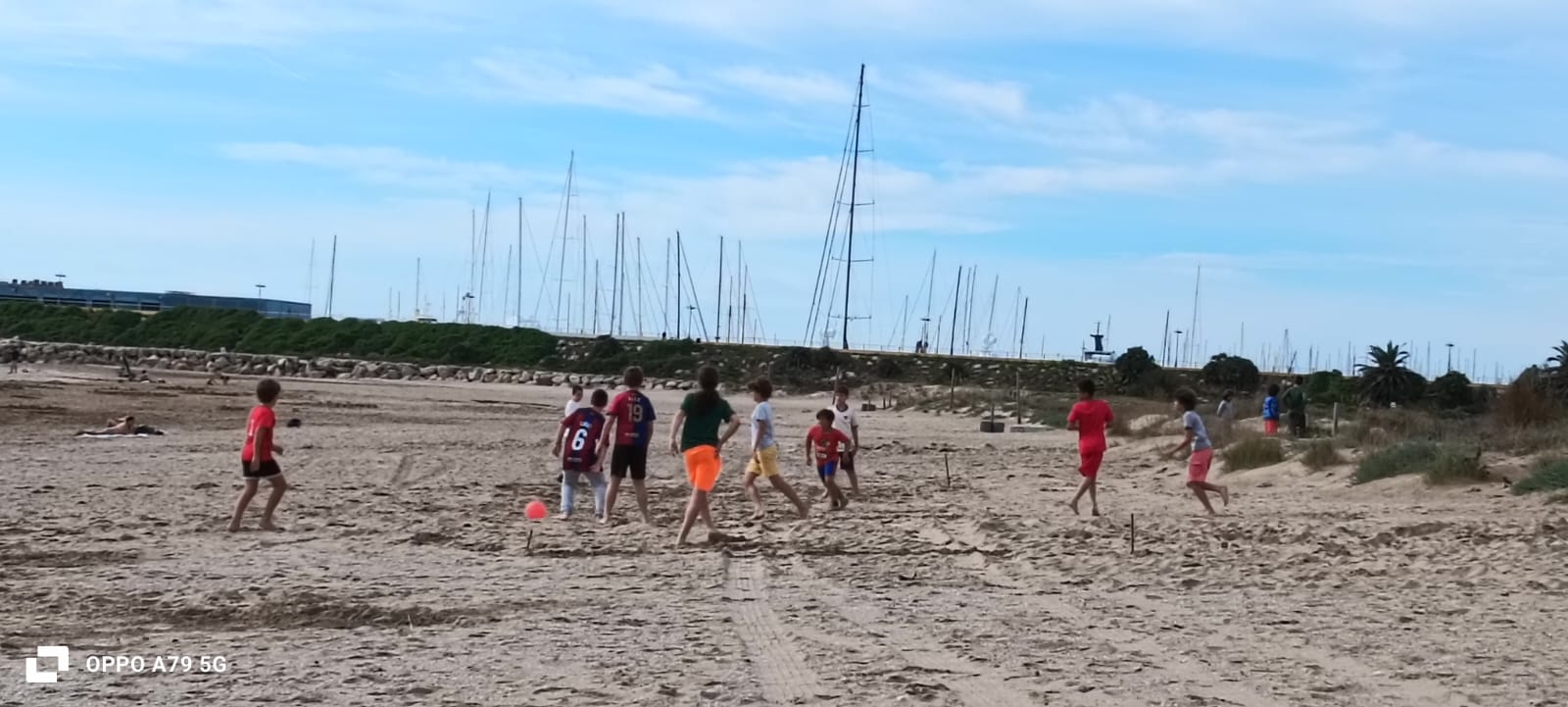 90cdd451-e832-4280-b0fd-cc126da83f6f