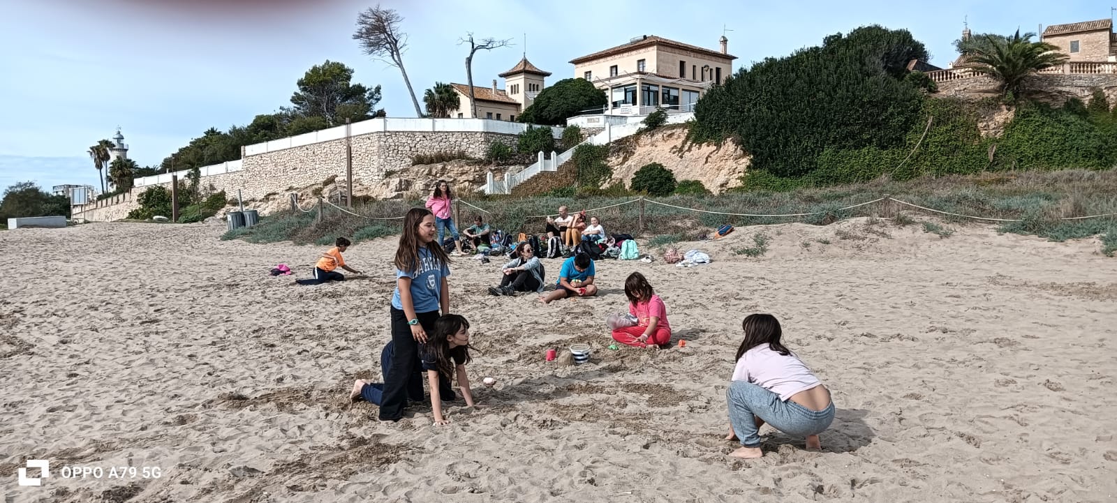 91e90ad9-b9ae-4beb-b0c8-b4a122c7e1cb