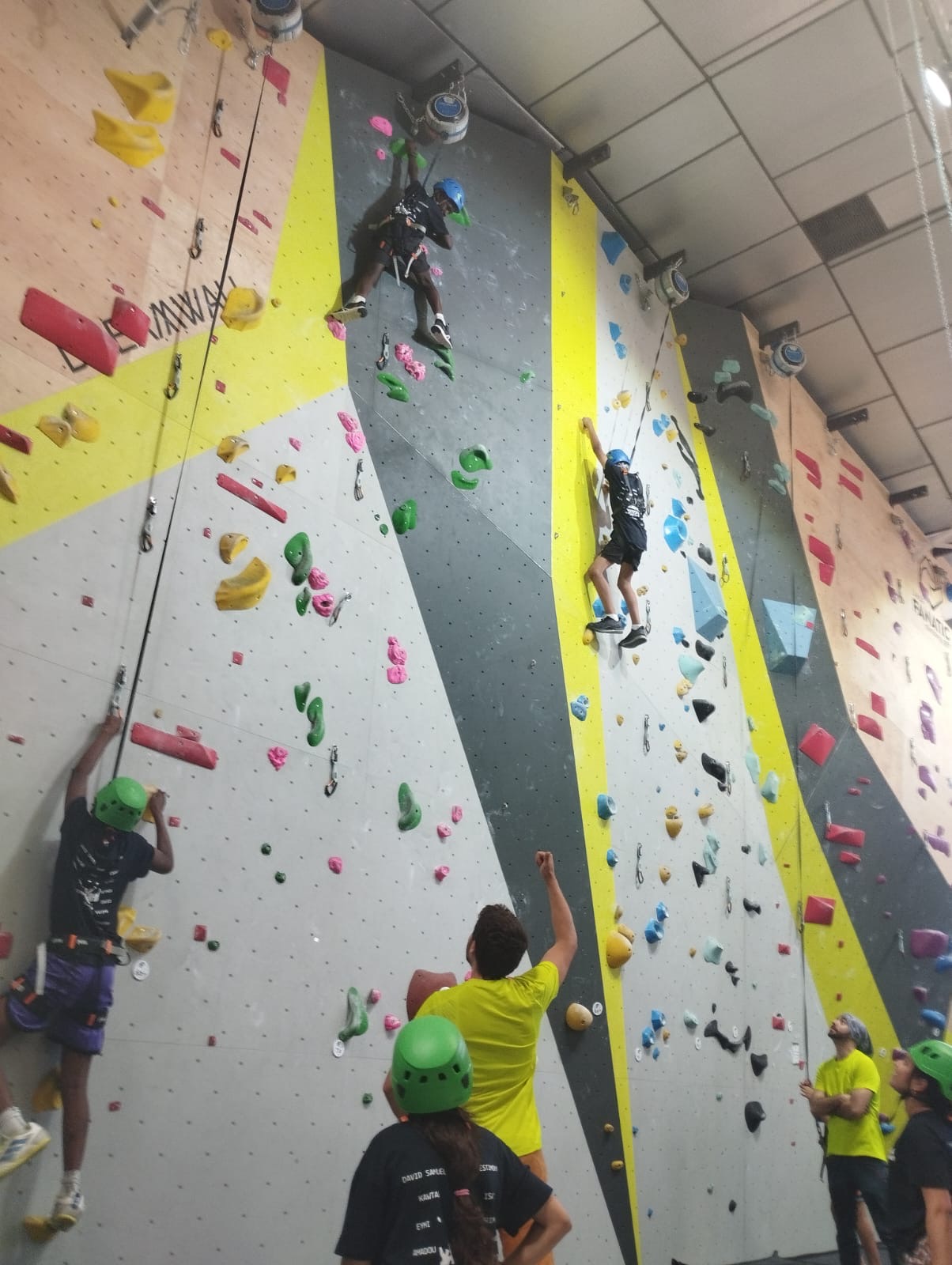 347bcb1c-d183-4348-9239-49e369234d41