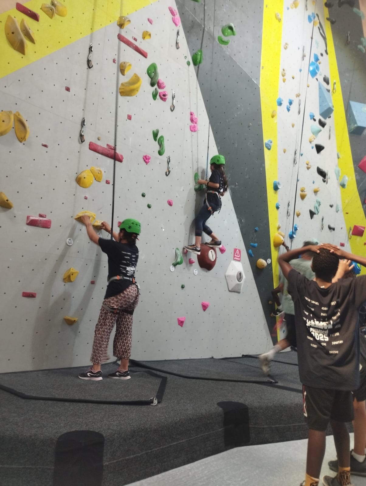 e3c5b1e4-4478-4b23-b5c7-1c20b71fbfb7