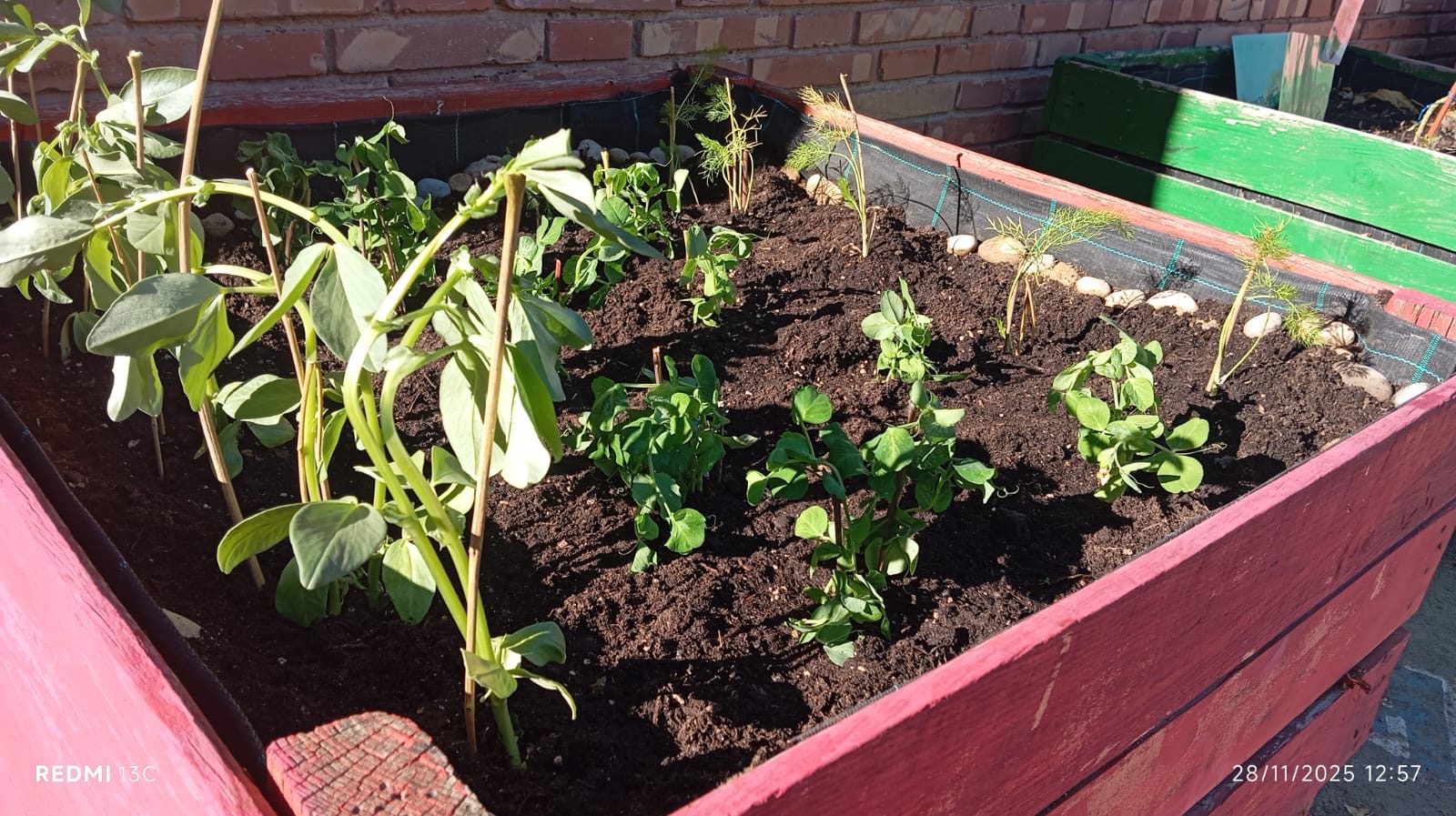 7b391c3b-0b70-4076-aeb9-e234d15c19e4