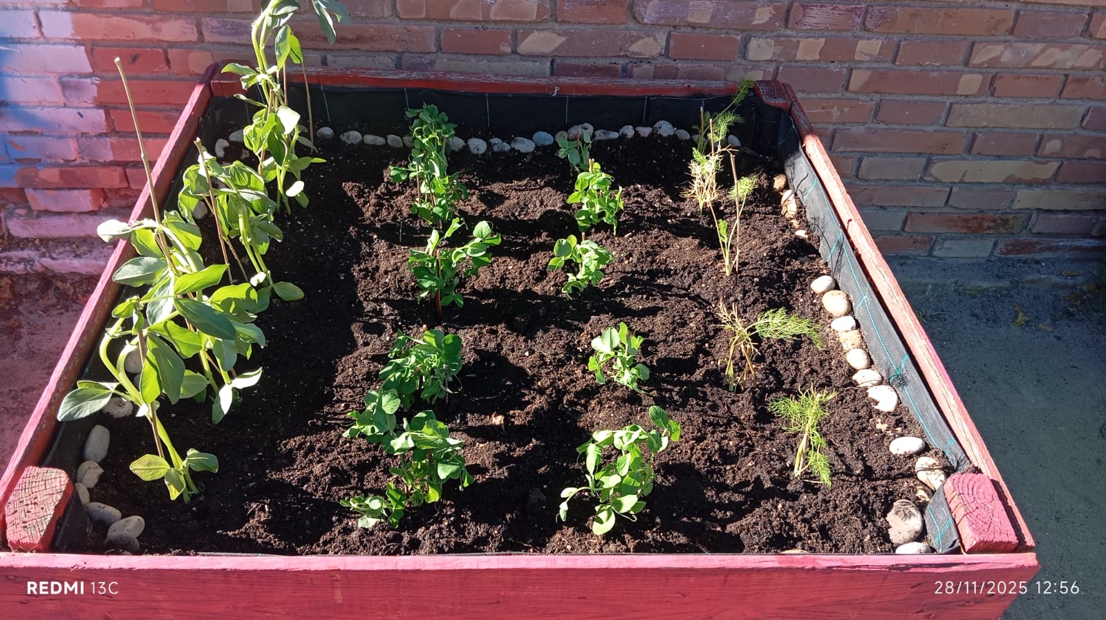 8e4c88fe-d4b2-4ae3-816f-52e31c9fcef4