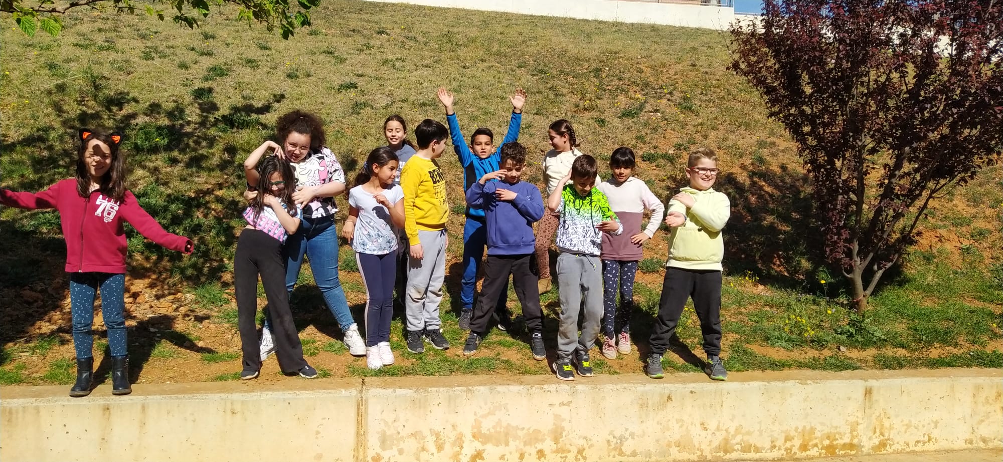 WhatsApp Image 2023-03-29 at 12.47.12