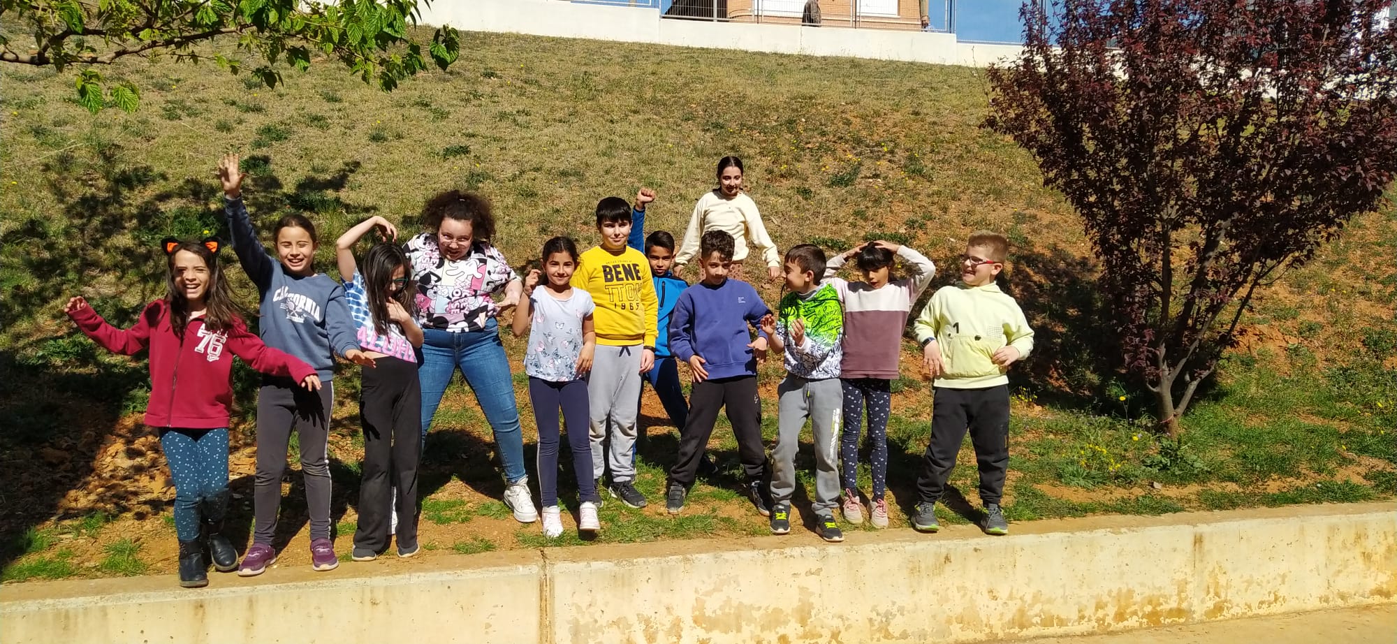 WhatsApp Image 2023-03-29 at 12.47.13