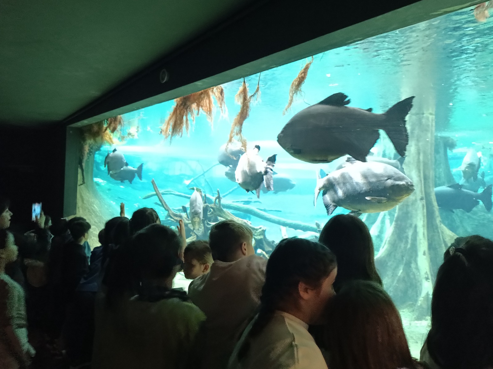 WhatsApp Image 2025-12-16 at 10.32.28 (3)