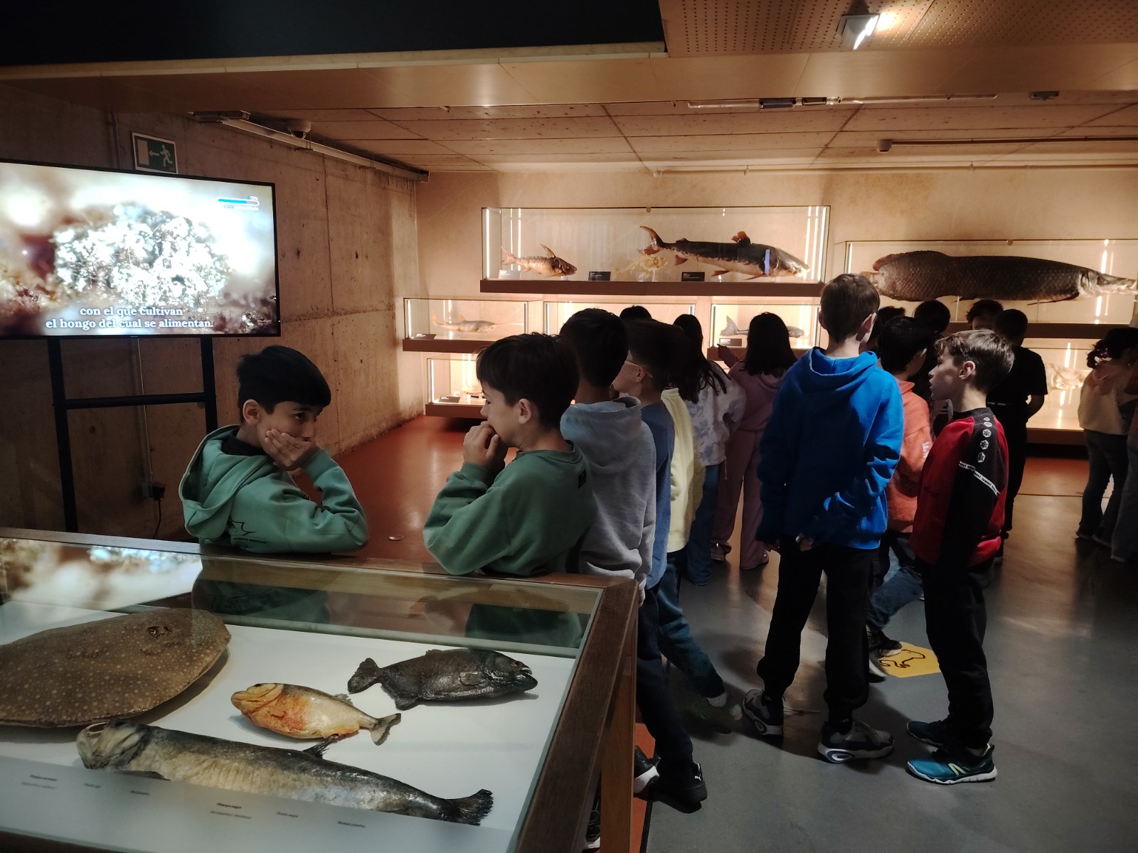 WhatsApp Image 2025-12-16 at 10.32.28