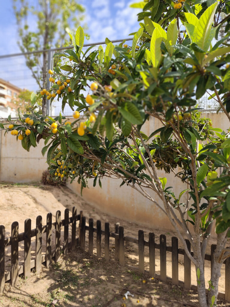 Infants encarregats de l'hort