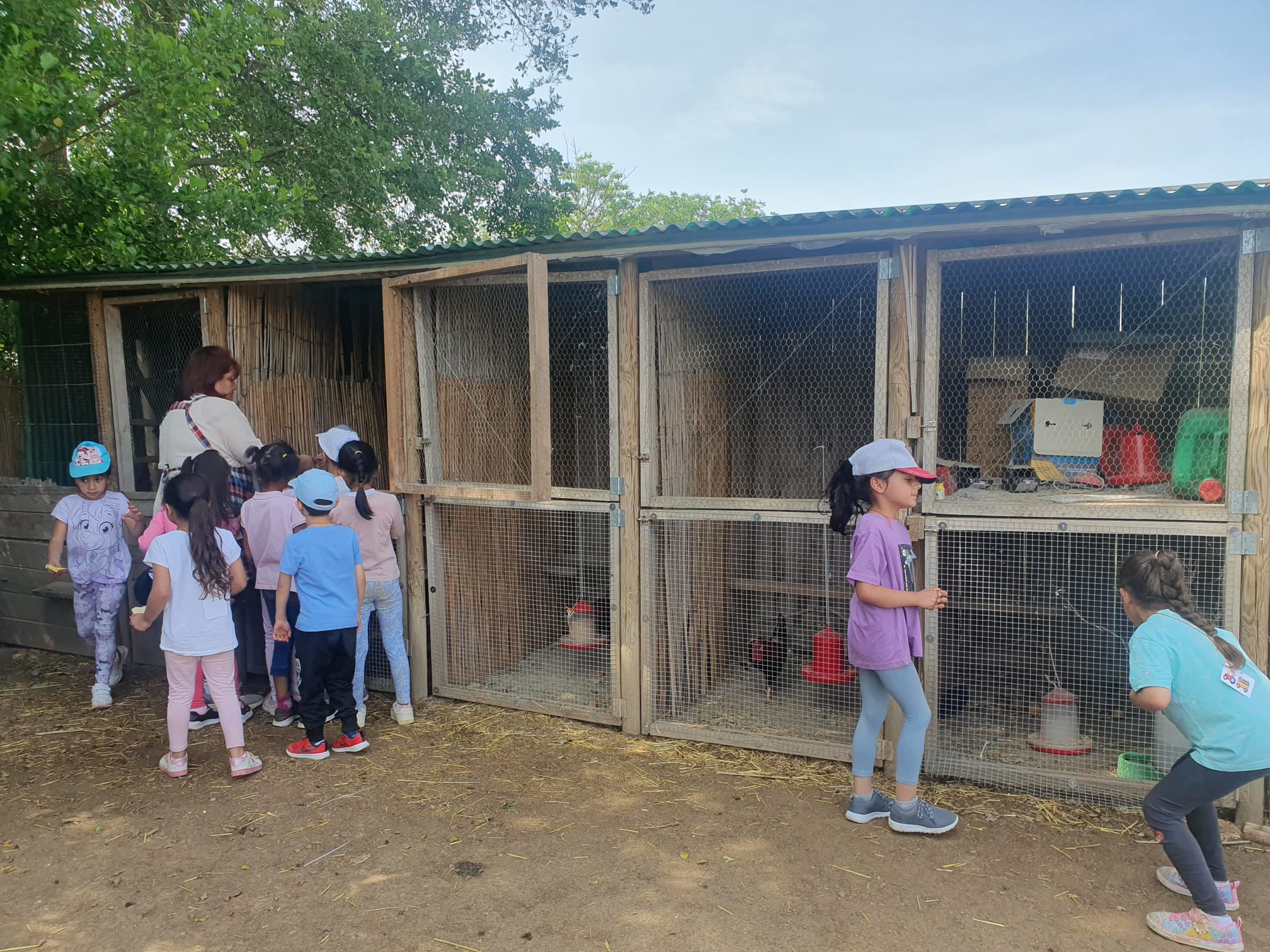 WhatsApp Image 2023-05-30 at 12.46.19 (1)