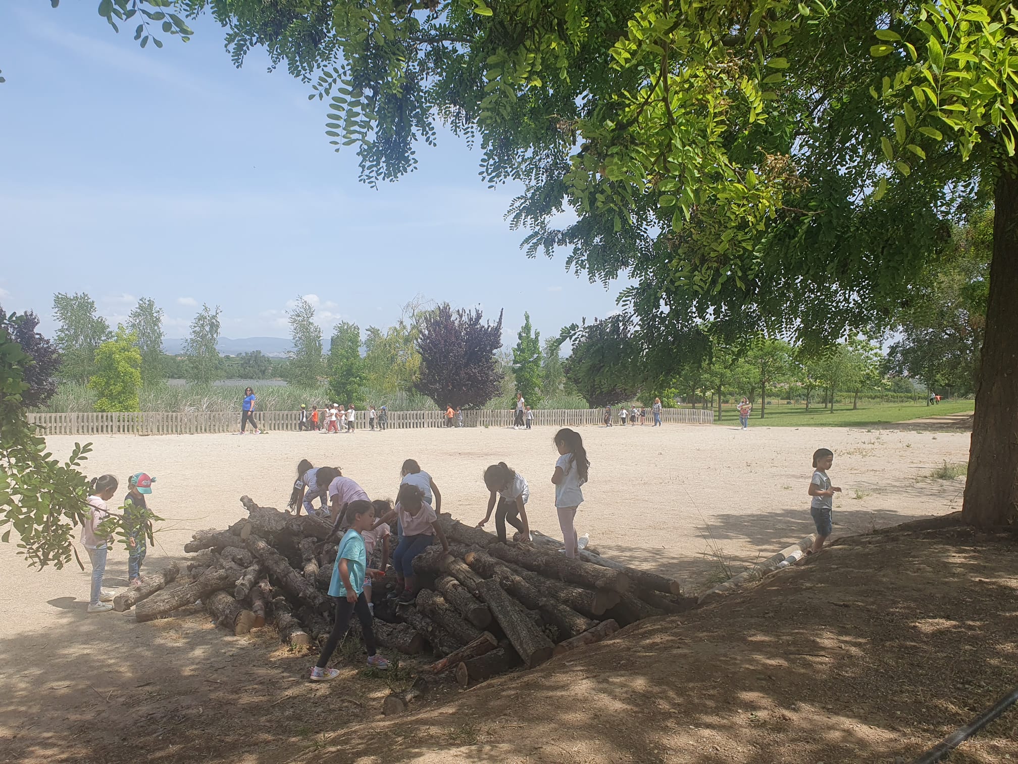 WhatsApp Image 2023-05-30 at 12.46.24 (2)